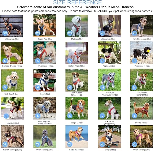 Miniatura 7 de KRUZ PET KZA308  Arnés reflejante con cuello en V de malla para perro sin jalones facilita el paseo ajuste rápido cómodo con velcro ajustable para