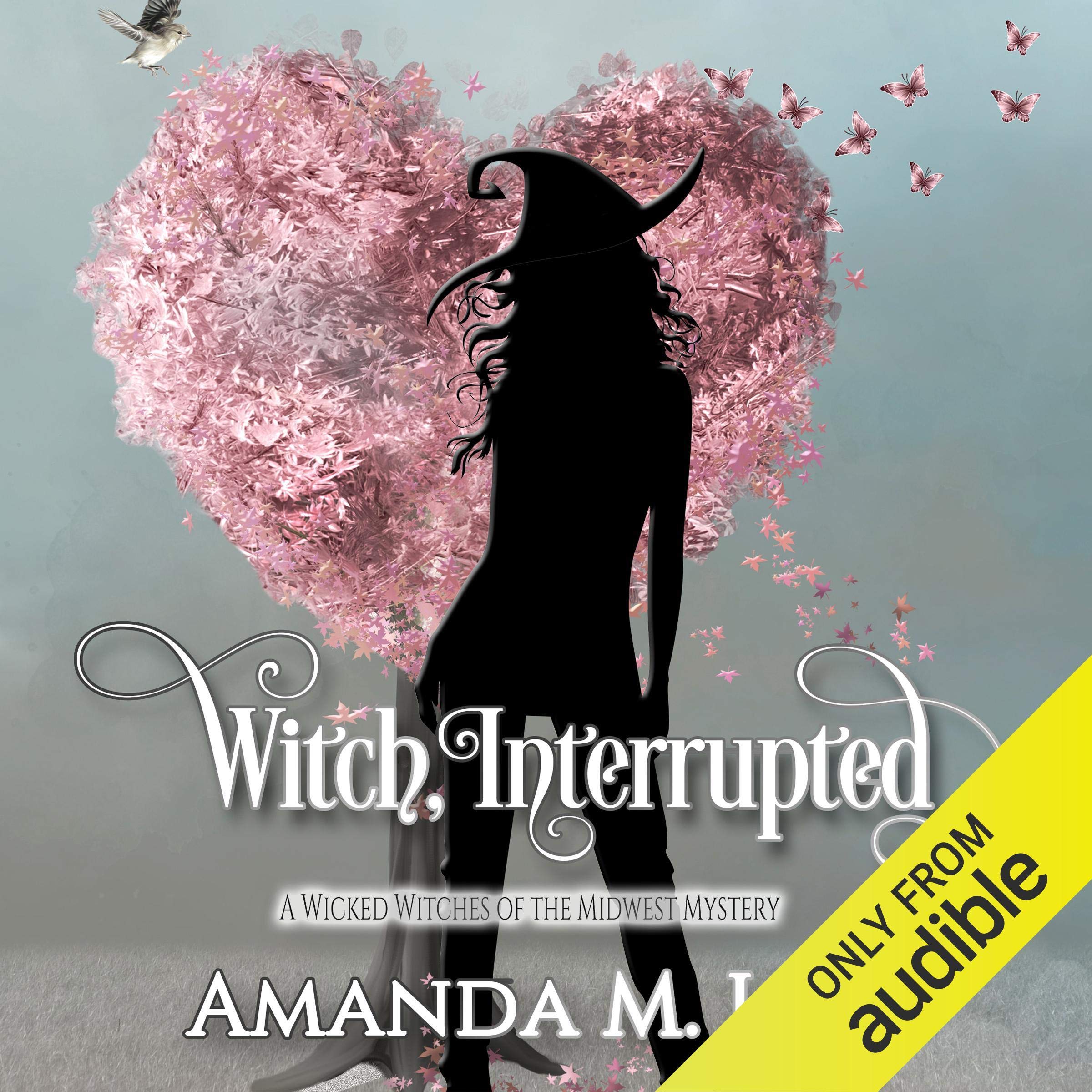 Witch, Interrupted: Wicked Witches of the Midwest, Book 13