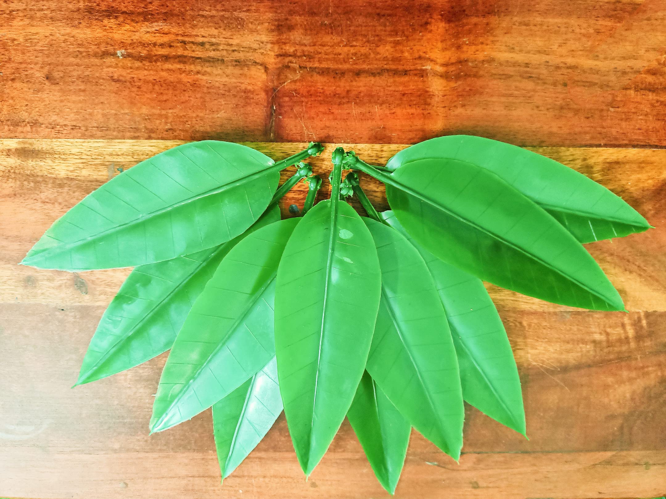 SPHINX Plastic Re-usable Artificial Mango Leaves (Aam Patta) for Decorations, Crafts, Garlands Making (Height Approx.17 cm)- No. of Pieces (10)