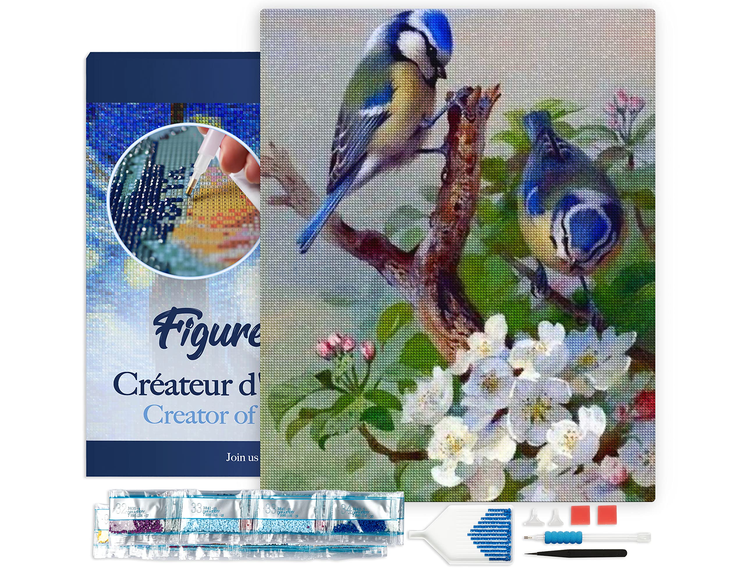 Figured'Art Diamond Painting Kit completo con marco - Cuadro 40x50cm de Pintura de Diamante - Bastidor montado - diamantes de imitación cuadrados - Tetas en rama - 5D DIY Manualidades Adultos