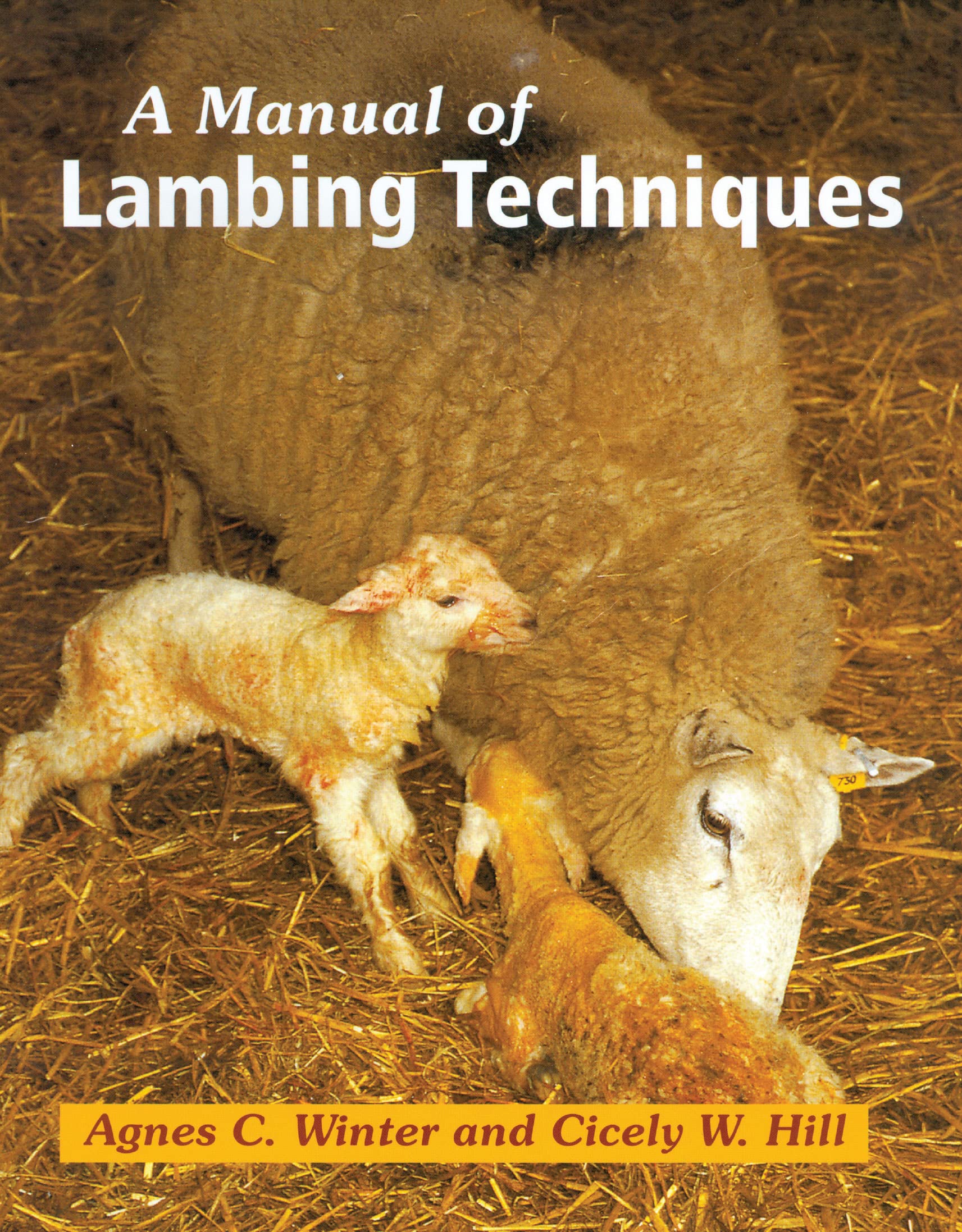 A Manual of Lambing Techniques by Cicely Hill, Agnes C Winter - 9781861265746