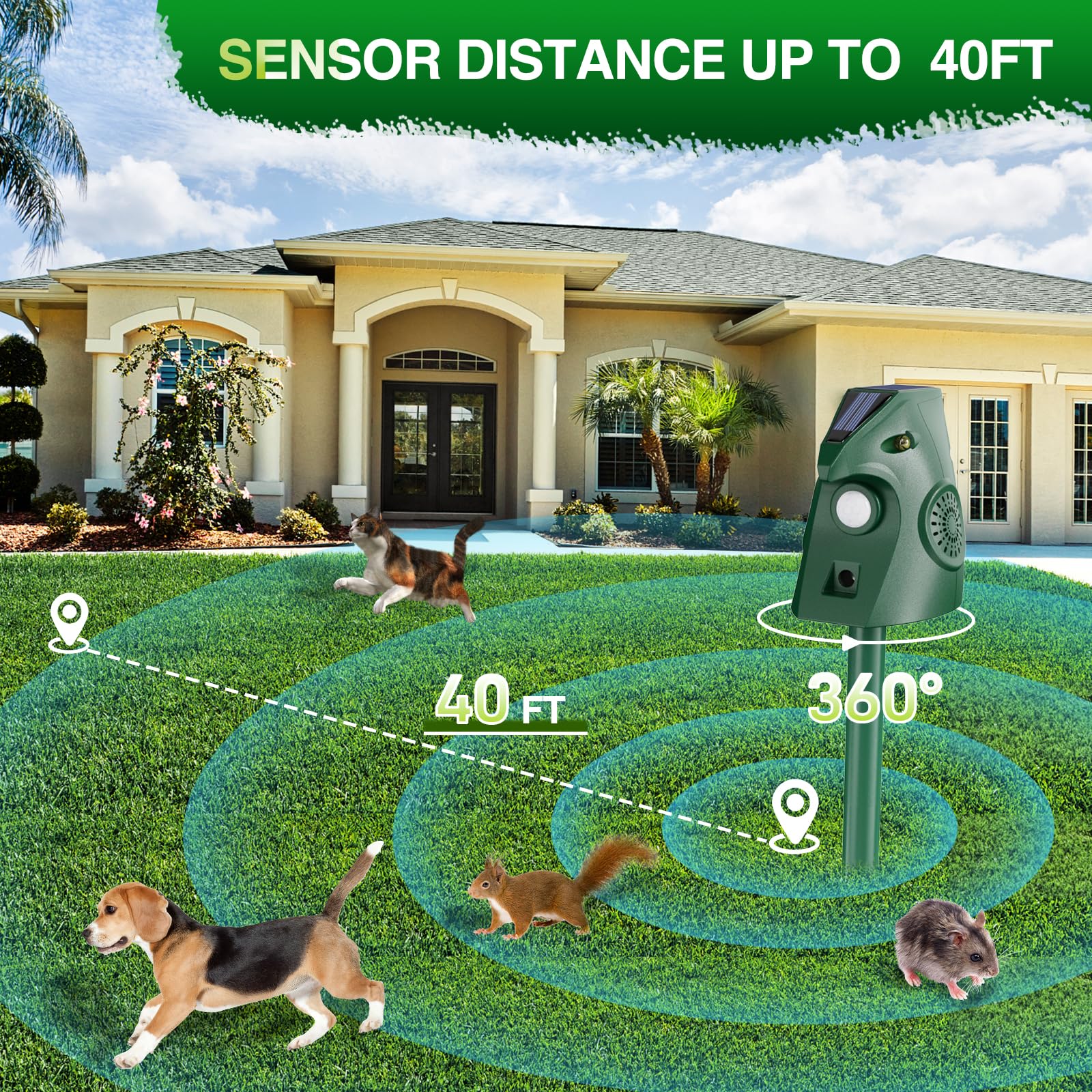 Repellente per Gatti Esterno, Repellente Piccioni Ultrasuoni Solare, Dissuasore per Uccelli, Ricarica USB & Energia Solare, Repellente Gatti Cani da Giardino per Piccione, Coniglio, Uccelli, Volpe