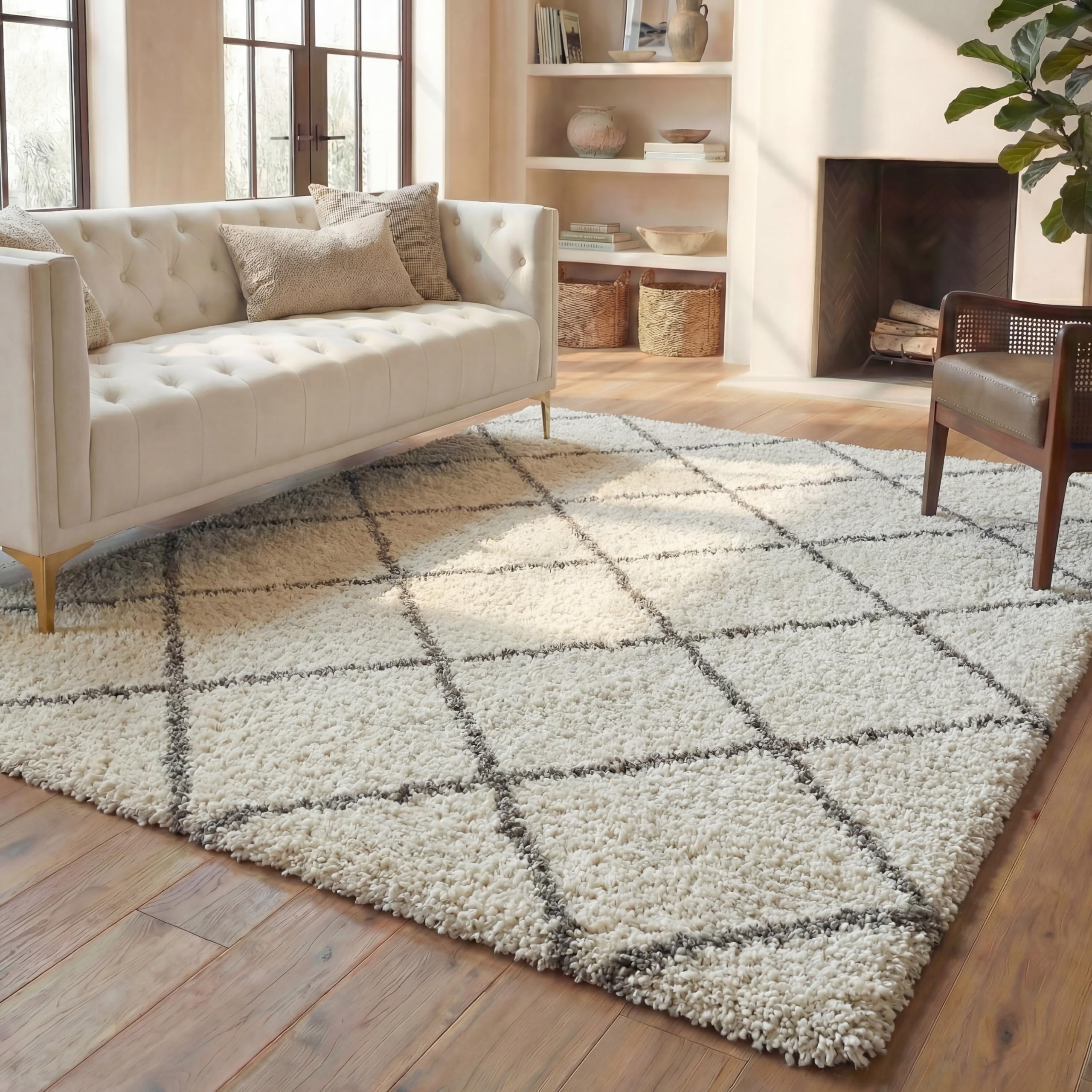 Amazon.com: SAFAVIEH Area Rug 8x10 - Hudson Shag Collection
