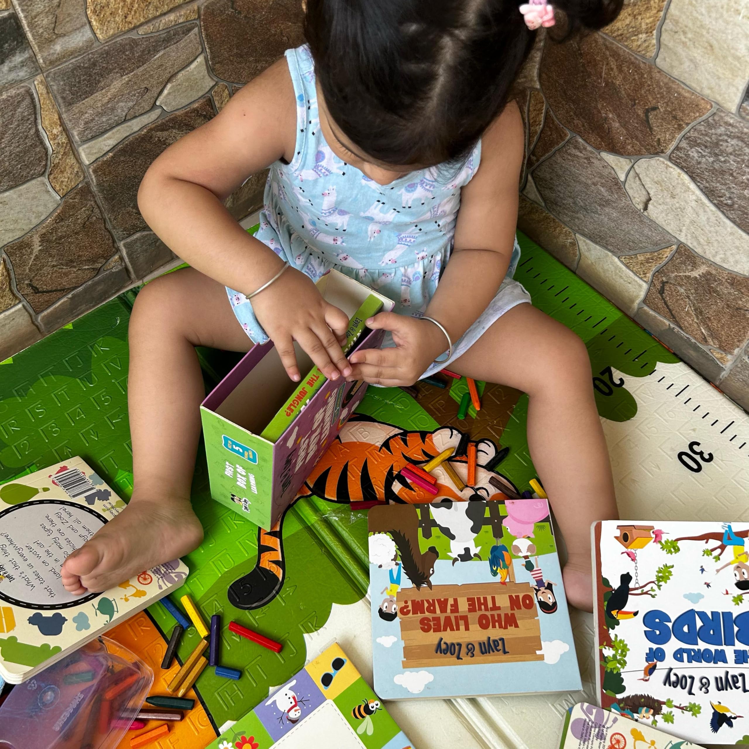 Zayn and Zoey First Box of Learning - Set of 5 board books (Vehicles, Seasons, Farm Animals, Wild Animals, Birds) - Box Set - Educational Story Book for Kids - Children's Early Learning Picture Book (Ages 0 to 4 years) 2