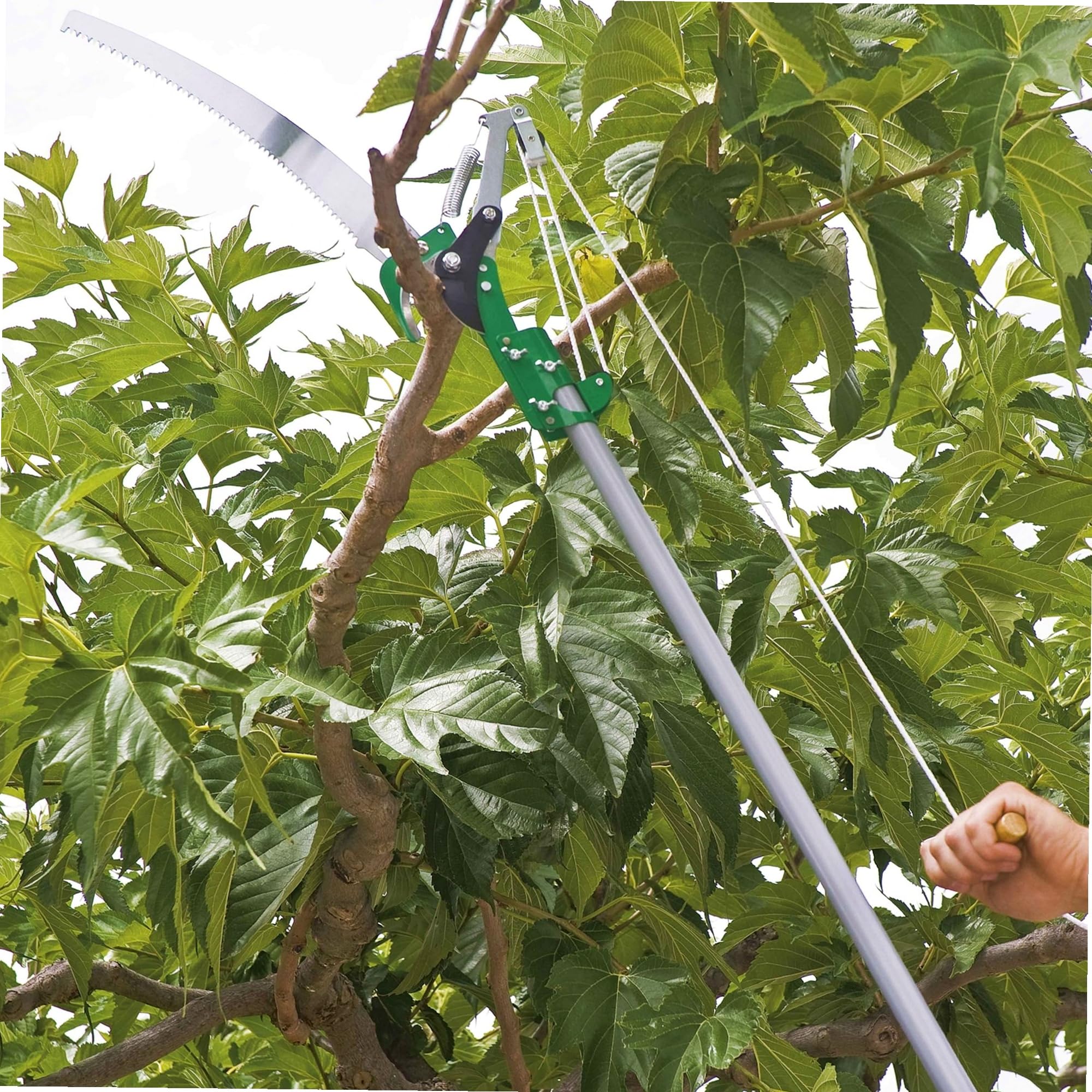 WERKA PRO - Élagueur Télescopique RIBILAND 815-Élagueur Hauteur Max 2,50 m-Capacité 30 mm-Modèle PROfessionnel, Vert/Acier