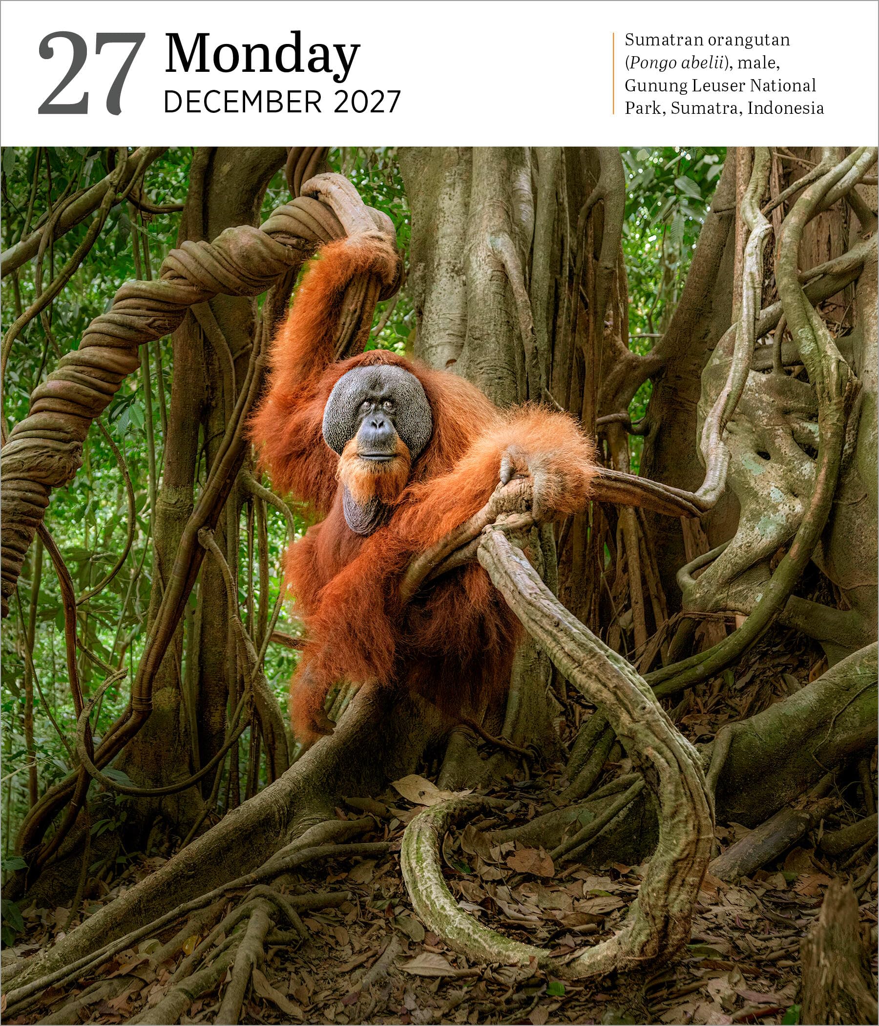 Audubon Nature Page-A-Day® Gallery Calendar 2027