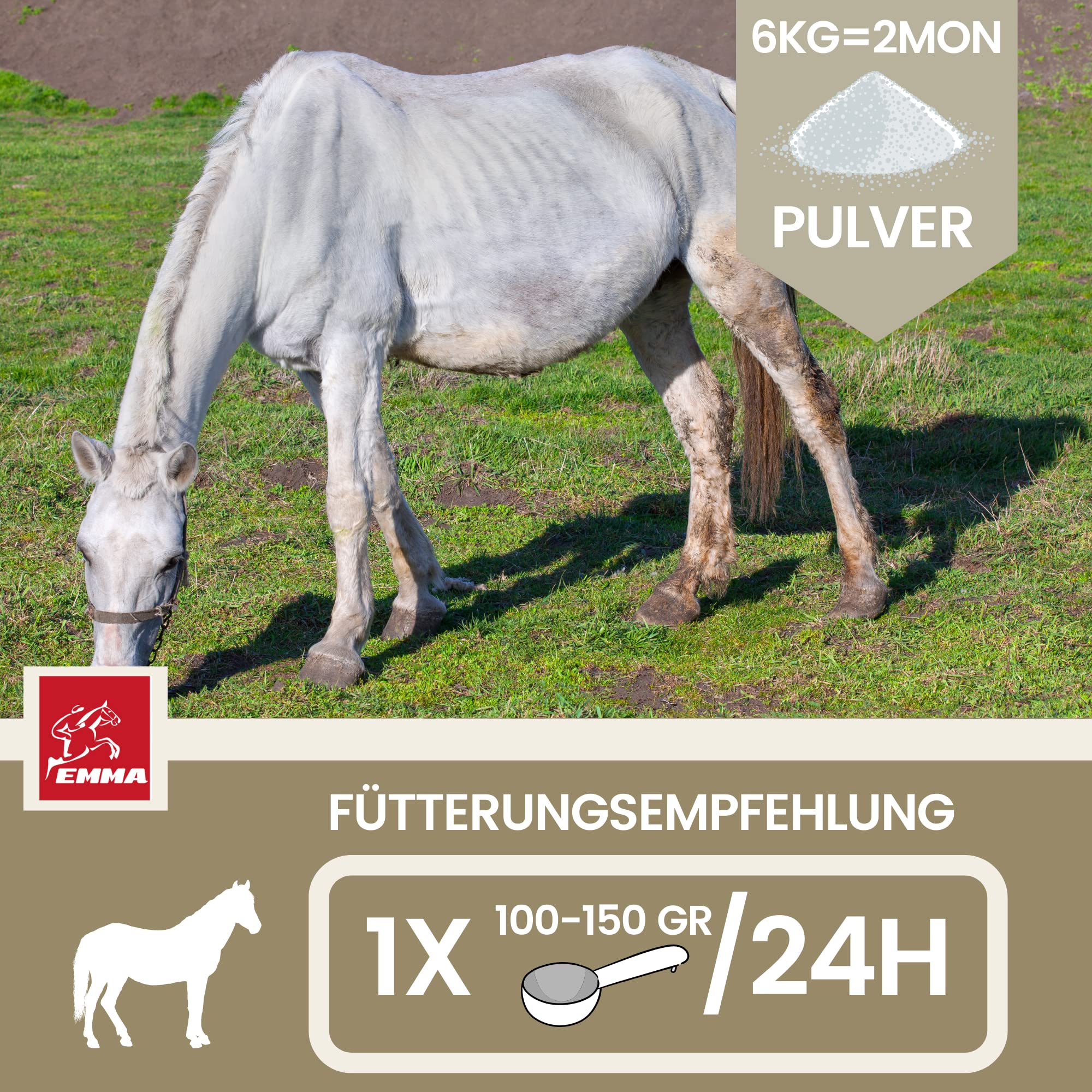 Mangime per cavalli + Amino Booster 6Kg 30ml Polvere per l'accrescimento muscolare + estrazione di soia Grist Horse I Vitamina E Selenio Horse, Biotina Zinco I Muscle Plus proteine per la muscolatura