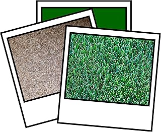 1Kg Park Drought Grass Seed Mix with Kentucky Bluegrass for a Drought Resistant Lawn, Great for Dry Soil