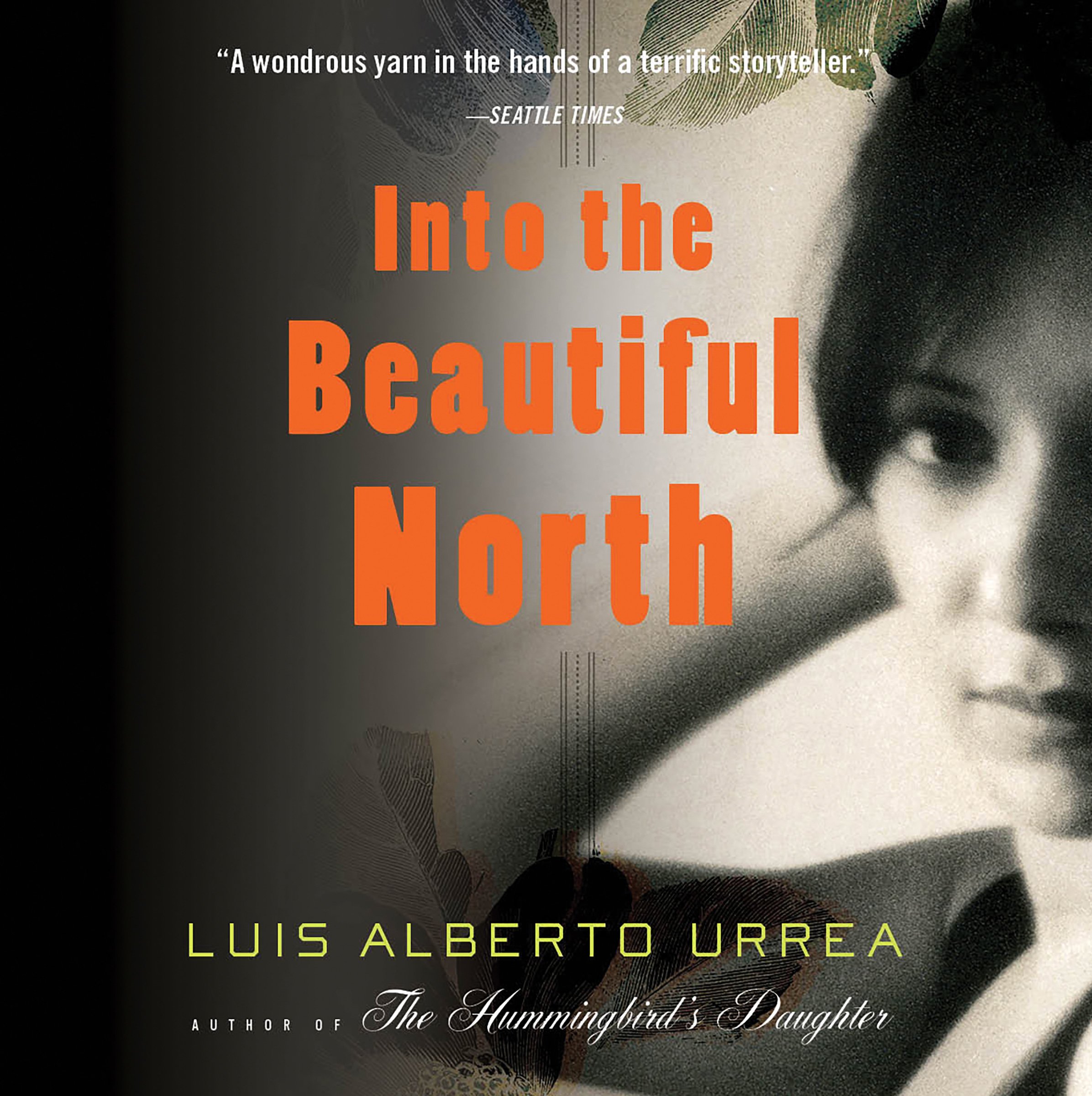 Cover art for Into the Beautiful North