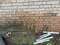 Review Image by RW, Florida