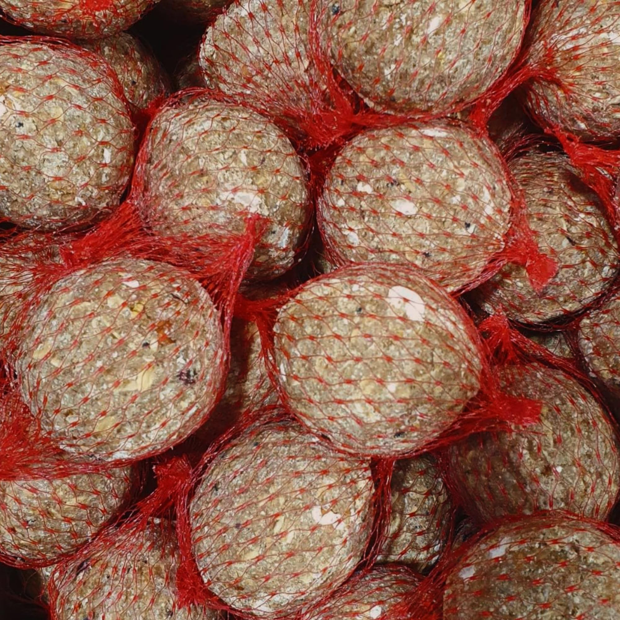 Orni 100 Stück Insektenknödel mit Netz | Leckere Meisenknödel mit Insekten für heimische Wildvögel | ganzjährig für Frühling, Sommer, Herbst und Winter | Fettfutter zum Aufhängen
