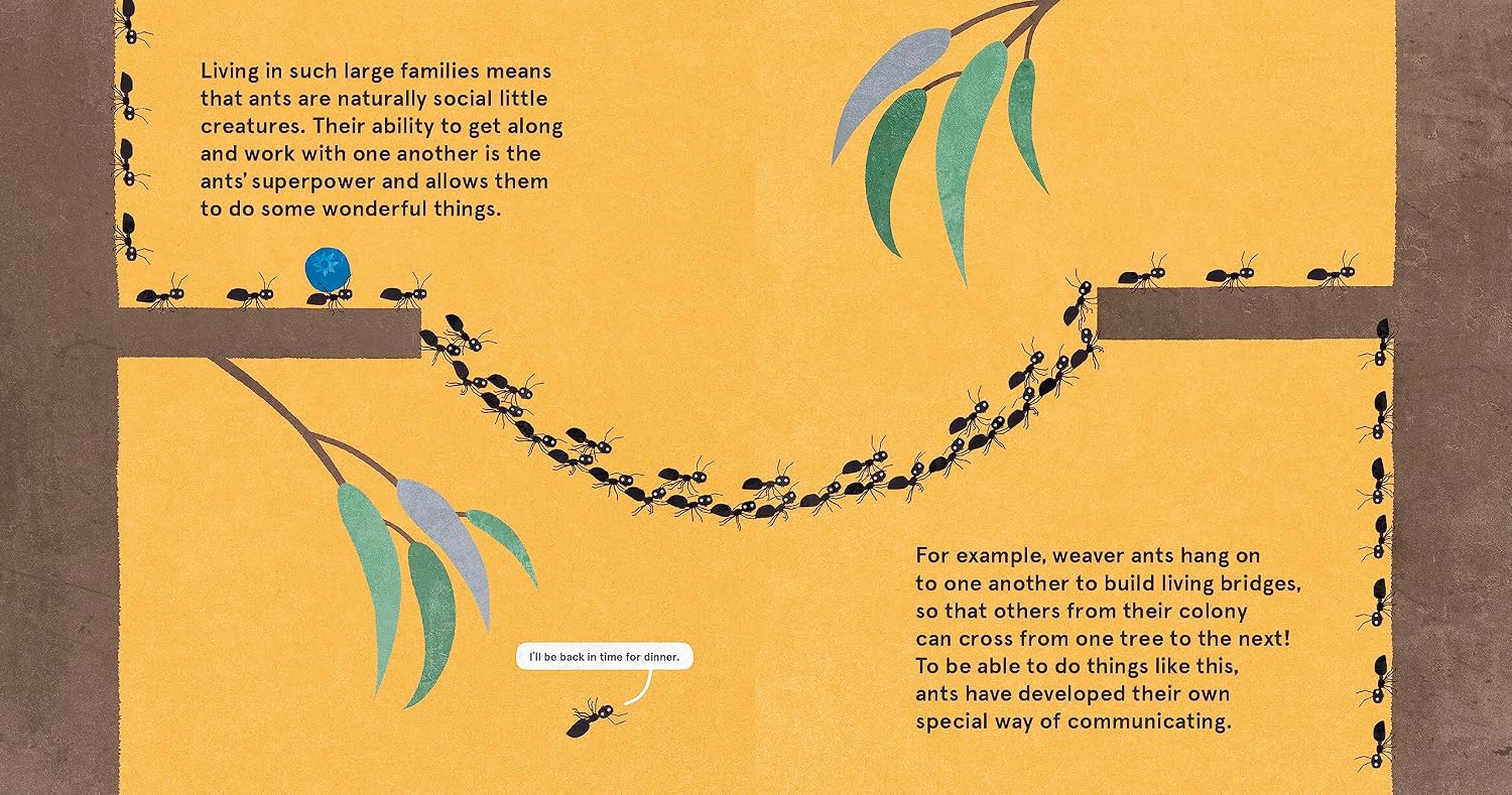 The Wonderful Wisdom of Ants