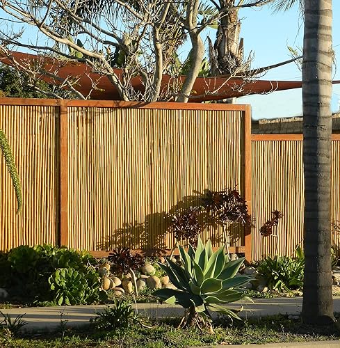 Miniatura 5 de Backyard X-Scapes Panel de valla enrollado decorativo de bambú natural, 0.75 pulgadas de profundidad x 3 pies de alto x 8 pies de largo