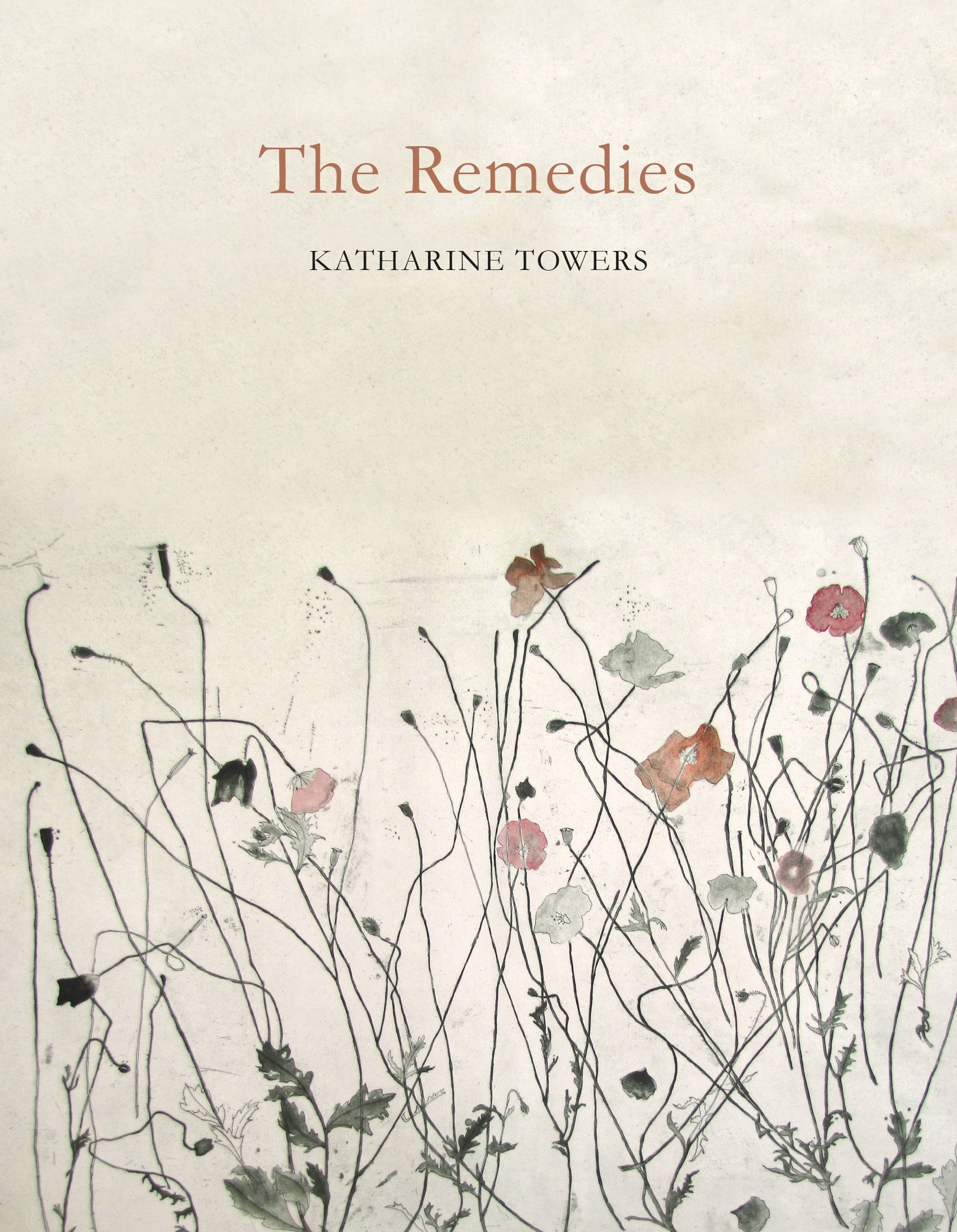 The Remedies by Katharine Towers (Paperback Book)