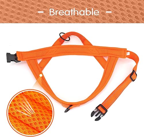 Miniatura 4 de Didog Arnés de chaleco acolchado de malla suave para perro, a prueba de escapeajuste rápido, con correa reflectante para perro, fácil para entrenar