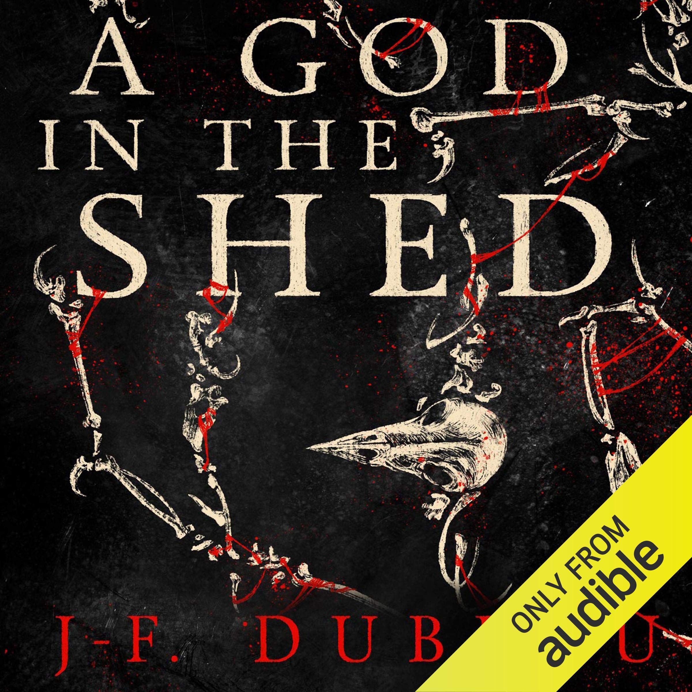 Cover art for A God in the Shed