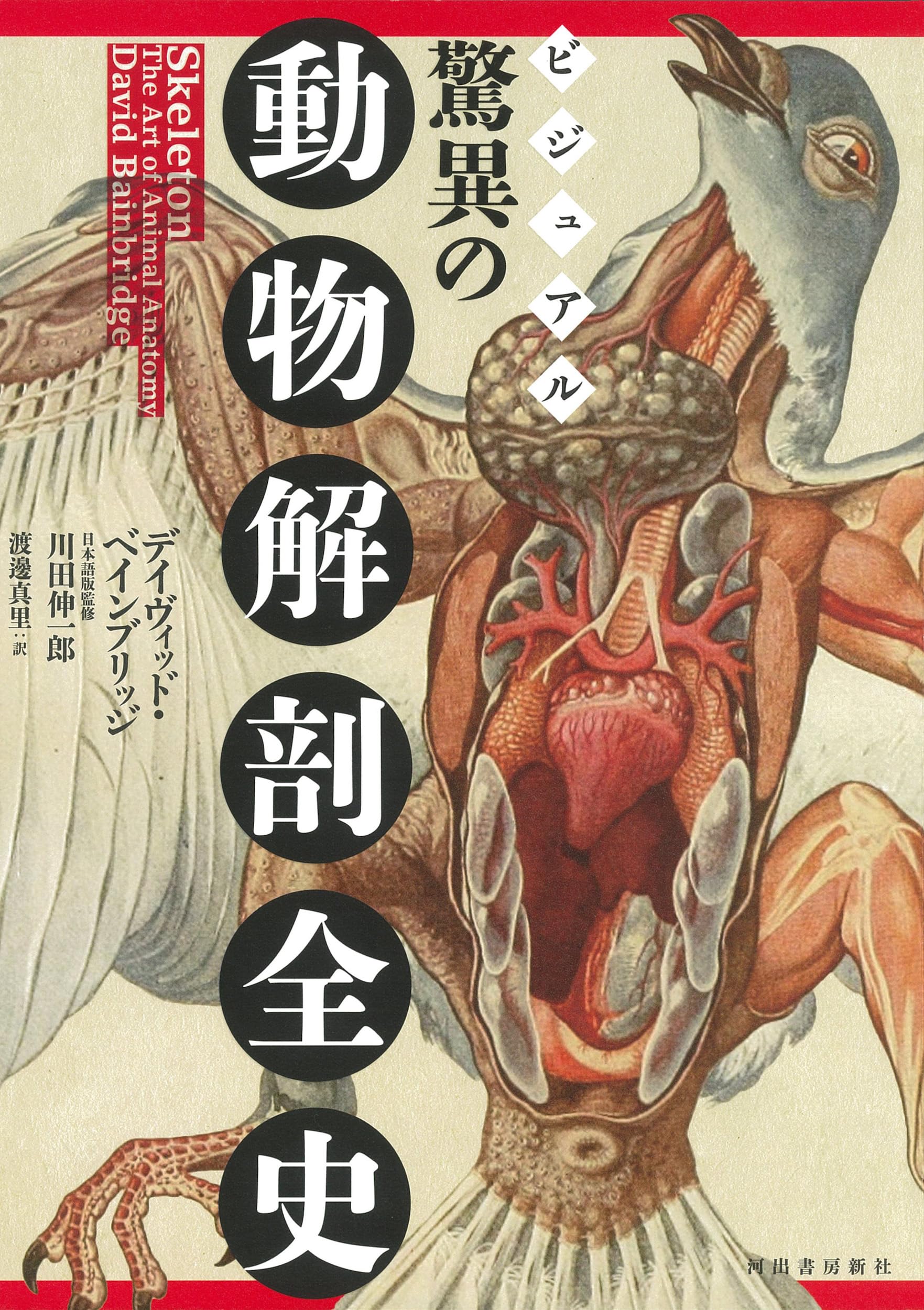 アンティーク　ラインベルガー書『動物図解書の額』　中に燃え跡のある図解書入り ビジュアル 驚異の動物解剖全史 | デイヴィッド・ベインブリッジ, 川田