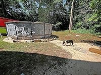 Review Image by Alex