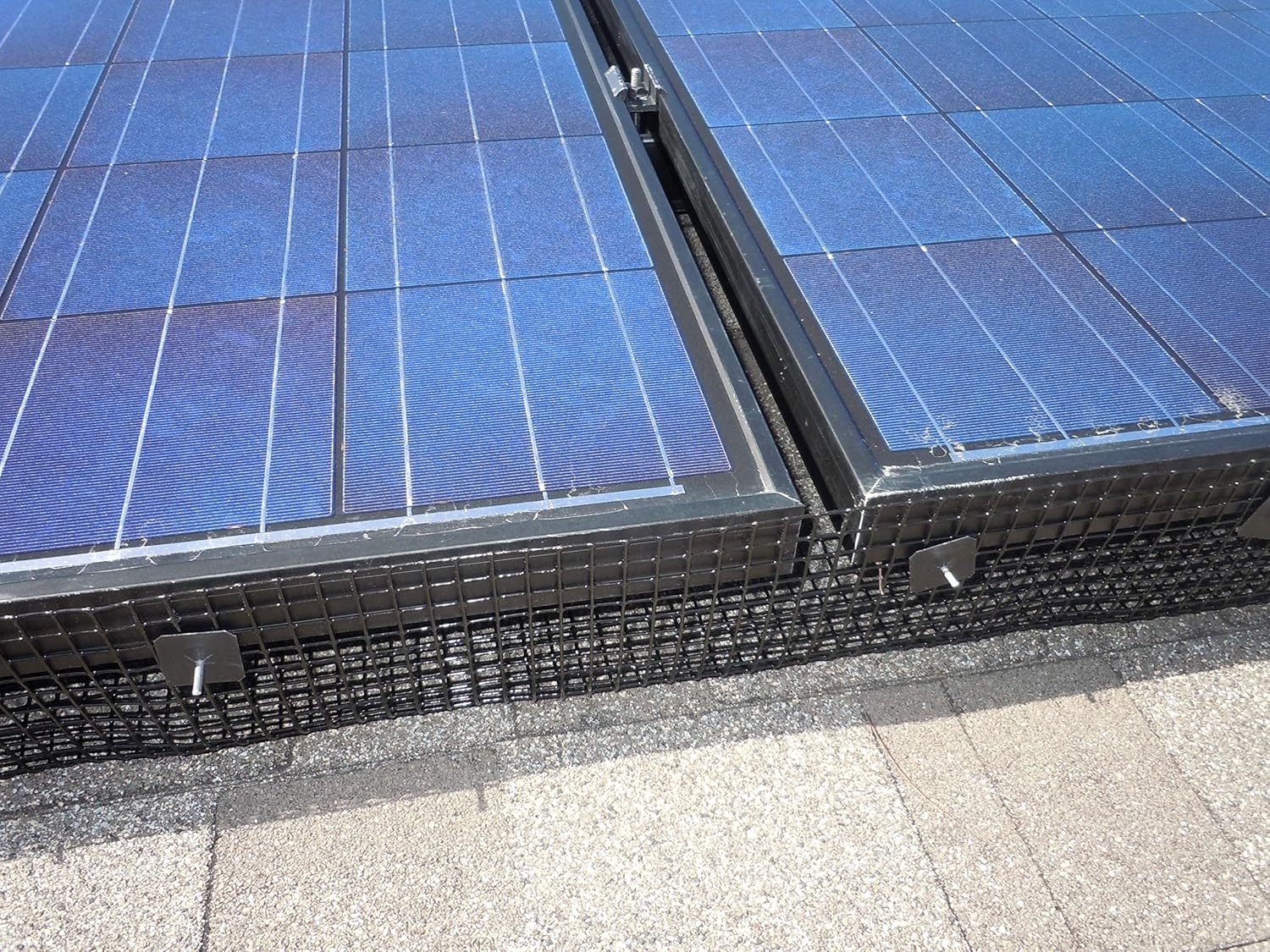 Crazy Deals 6 Squirrel Guard Kit. 6 in. 100 ft. PVC Coated Galvanized Steel roll and 100 Aluminum Fasteners. Exclusive Discount 70% Price 6 Squirrel Guard Kit. 6 in. 100 ft. PVC Coated Galvanized Steel roll and 100 Aluminum Fasteners.