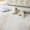 Product Photo 9