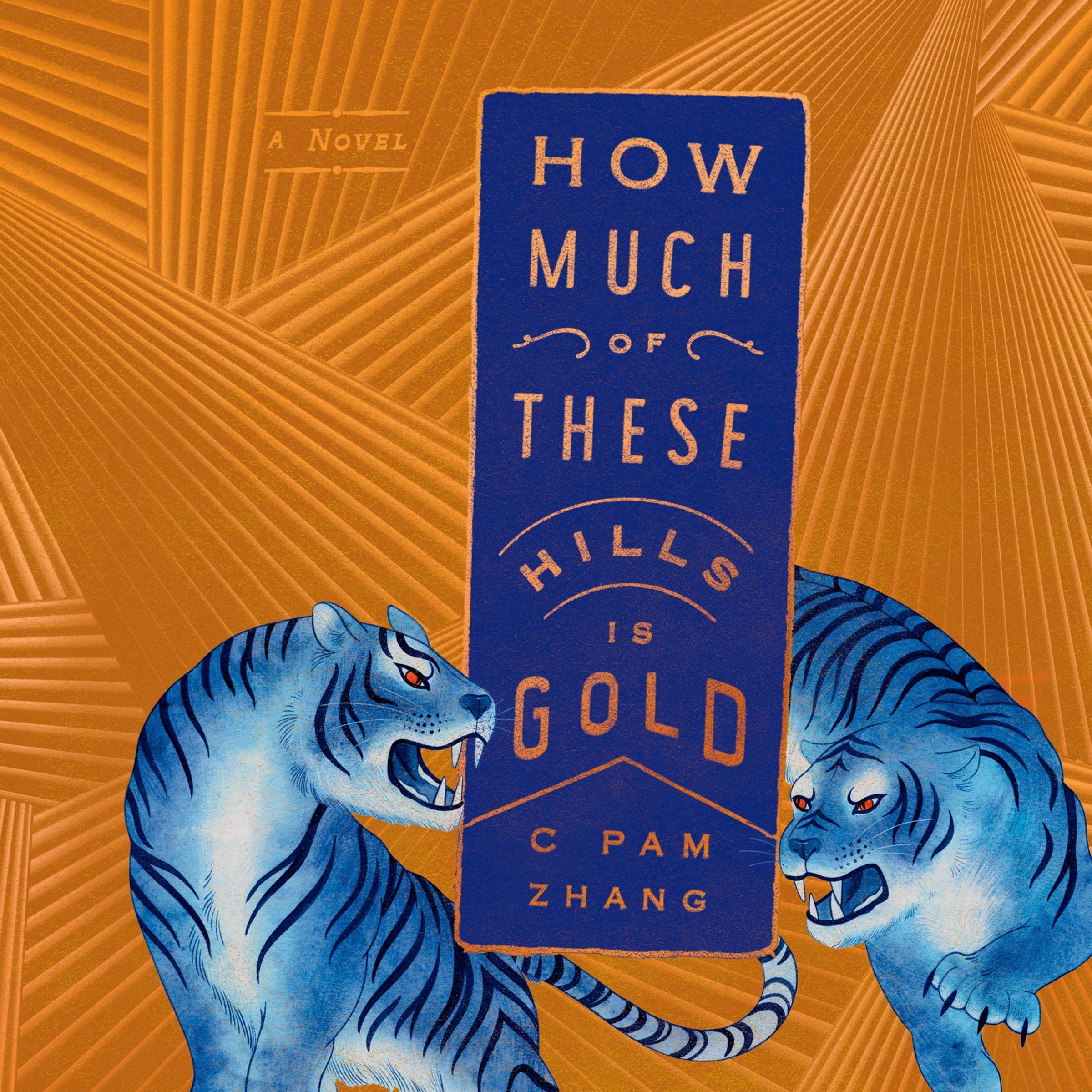 Cover art for How Much of These Hills Is Gold