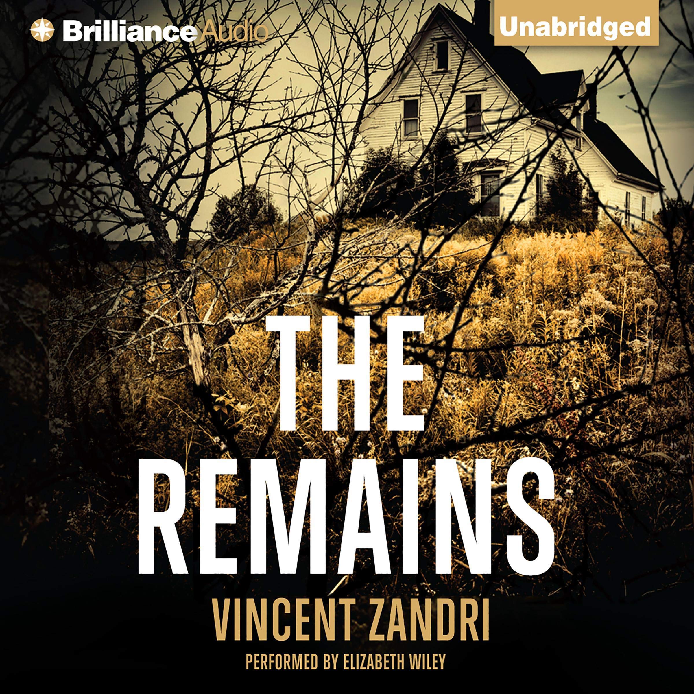 Cover art for The Remains
