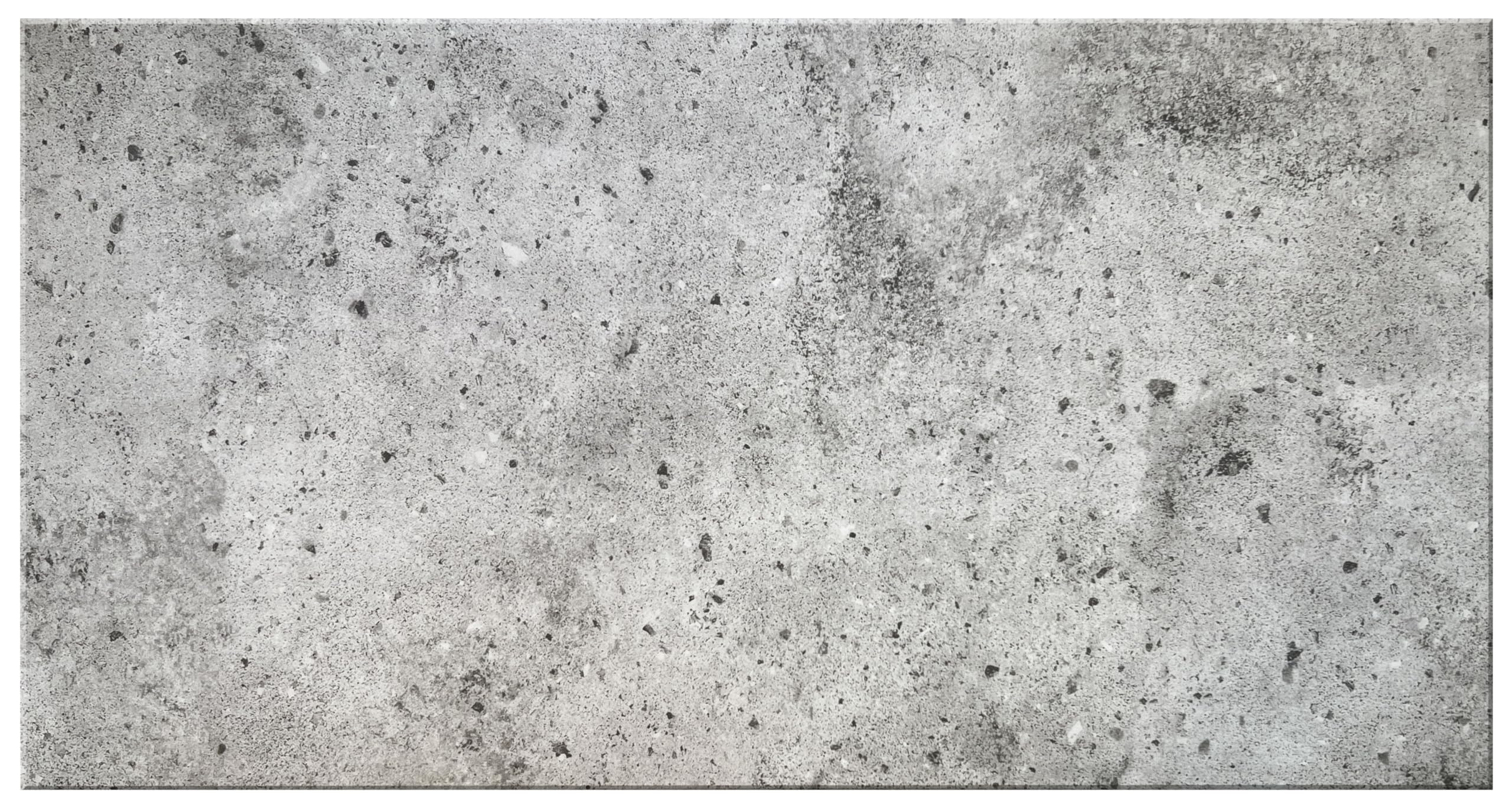 DECCART Wand-Paneele in Betonoptik - Deckenpaneele - Wandverkleidung Deckenverkleidung mit Beton-Imitat - Wandplatten in Grau aus Polystyrol - 100x50 cm - Betongrau - 7314 XL - 16 Stück (8 m²)