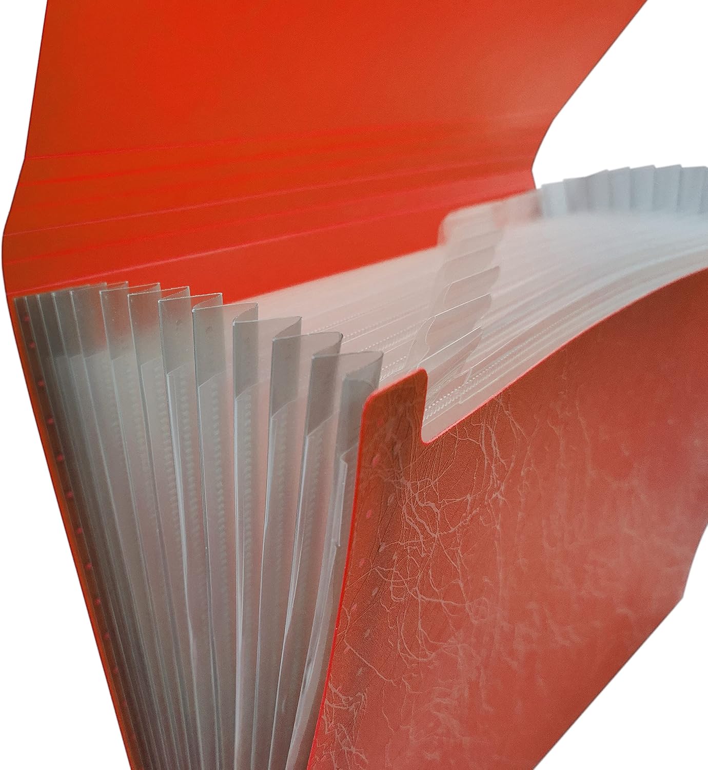 Raylu Paper® - Accordion Document Folder with 12 Compartments, Opaque Plastic File Cabinet with Dividers for Office (Red)