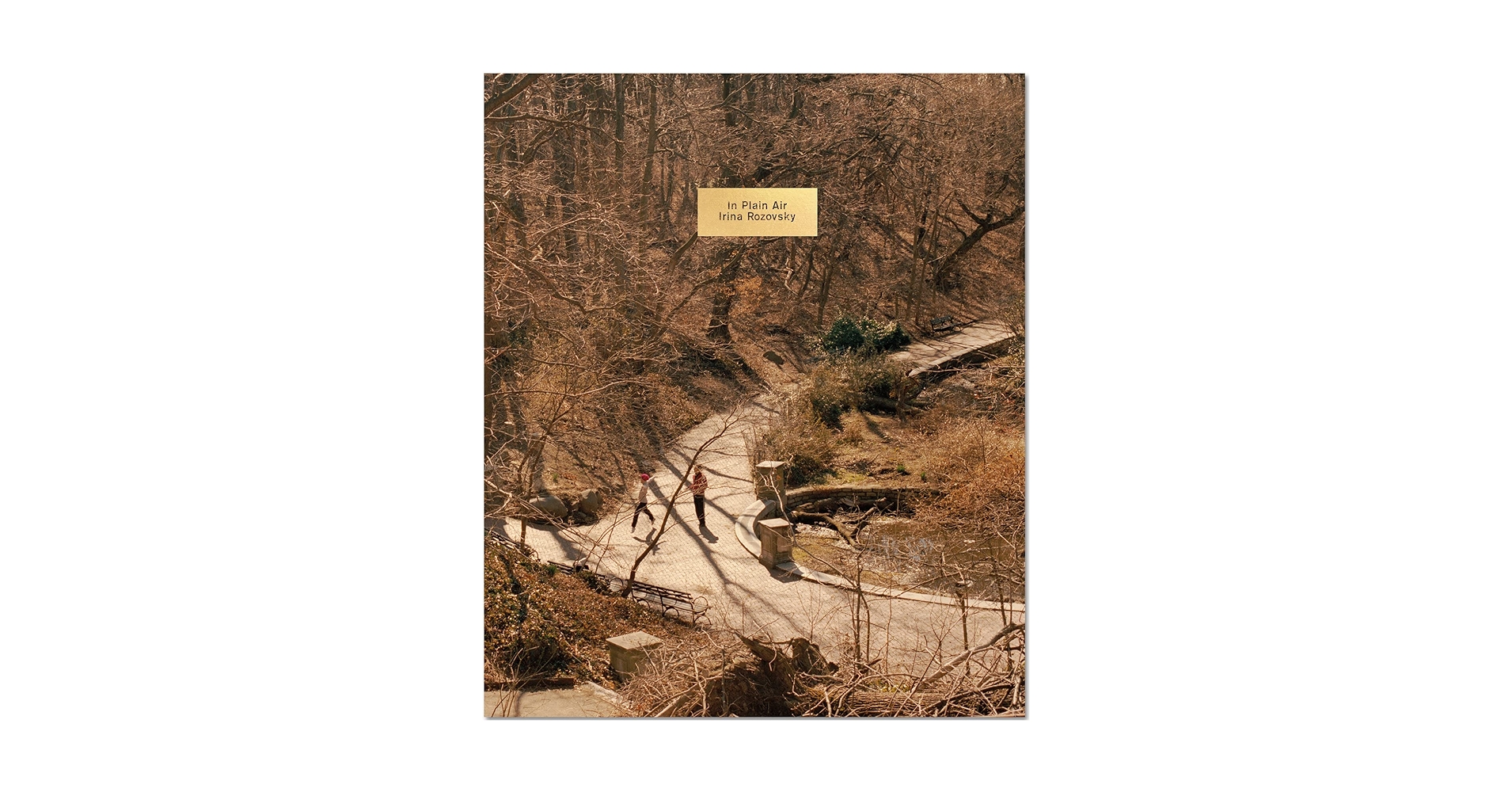 IN PLAIN AIR　Irina Rozovsky　アートブック IN PLAIN AIR: Irina Rozovsky: 9781913620172: Amazon.com: Books