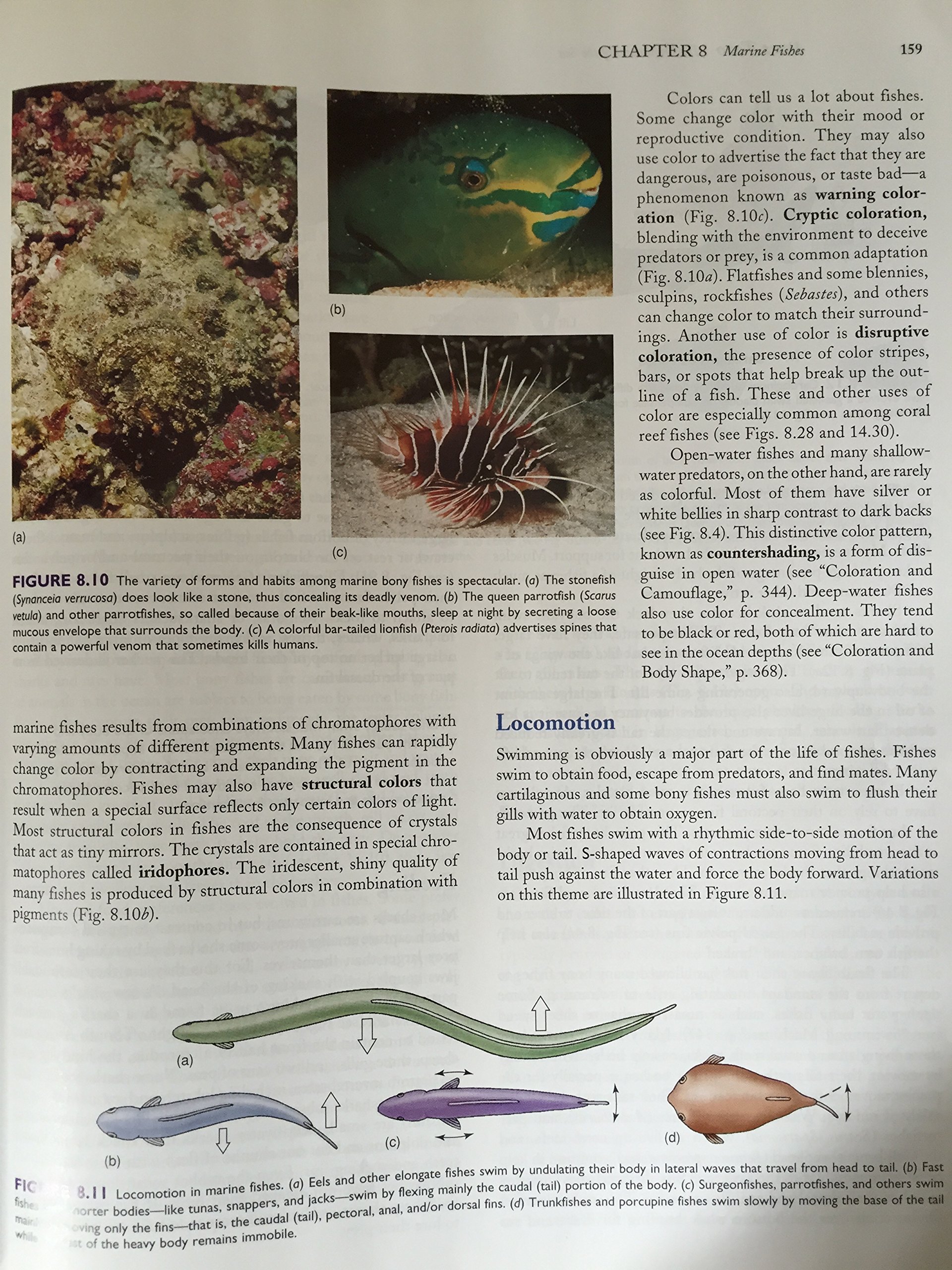 Marine Biology - Image 4