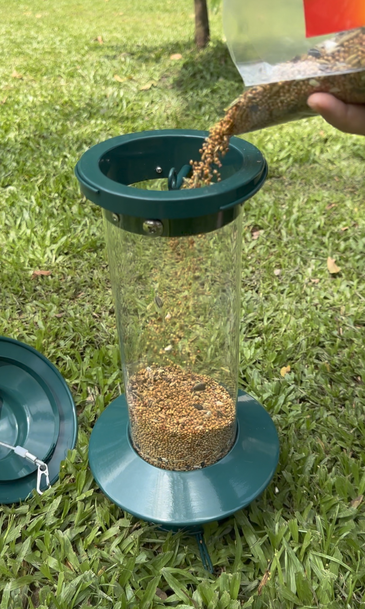 Mangeoire à Oiseaux Anti-écureuils, Mangeoires à Oiseaux En Maille