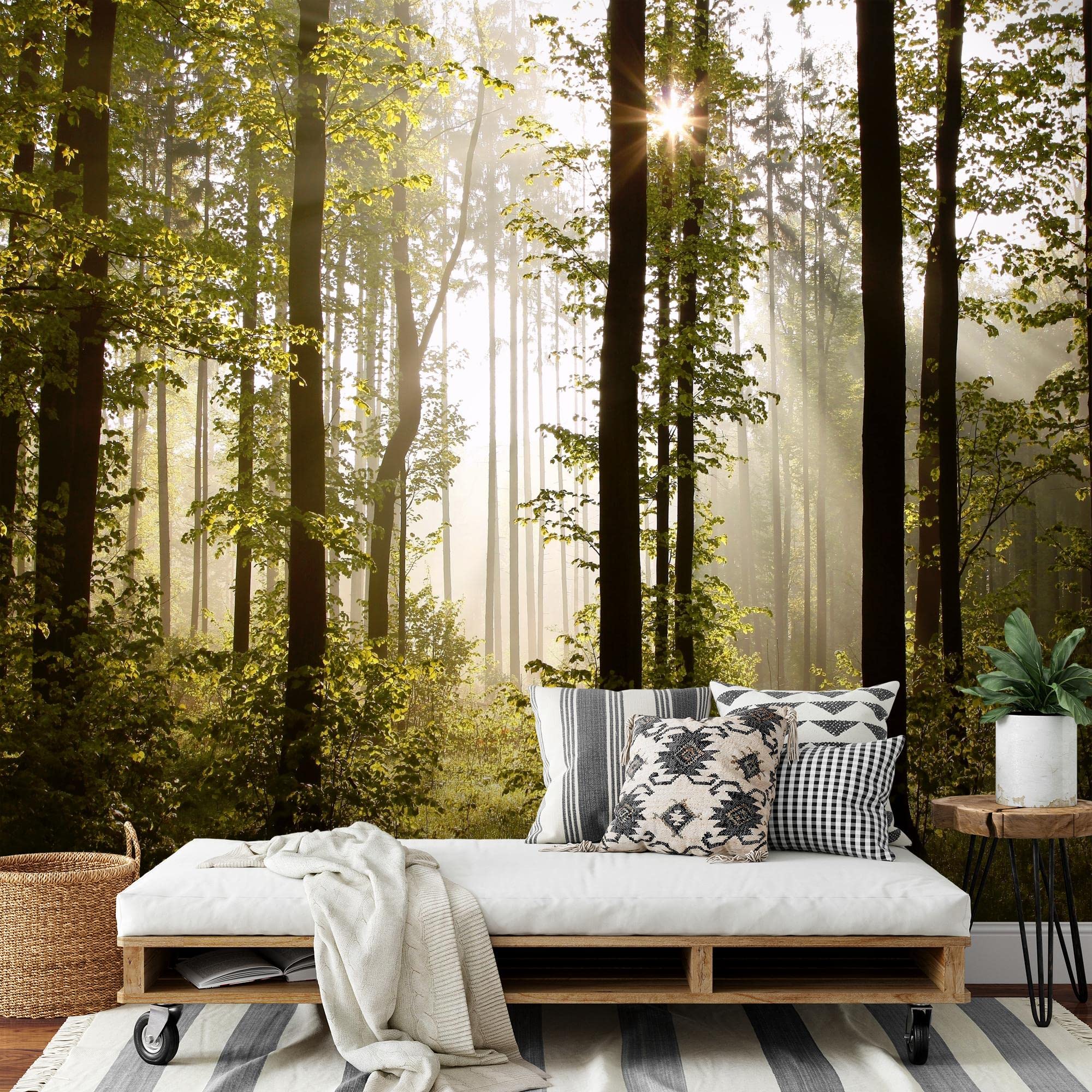 Runa Art Carta da parati fotografica 396 x 280 cm Forest Landscape Sun | Vello Decorazione Murale Soggiorno Camera Da Letto | Manifattura tedesca | verde Brown 9010012a