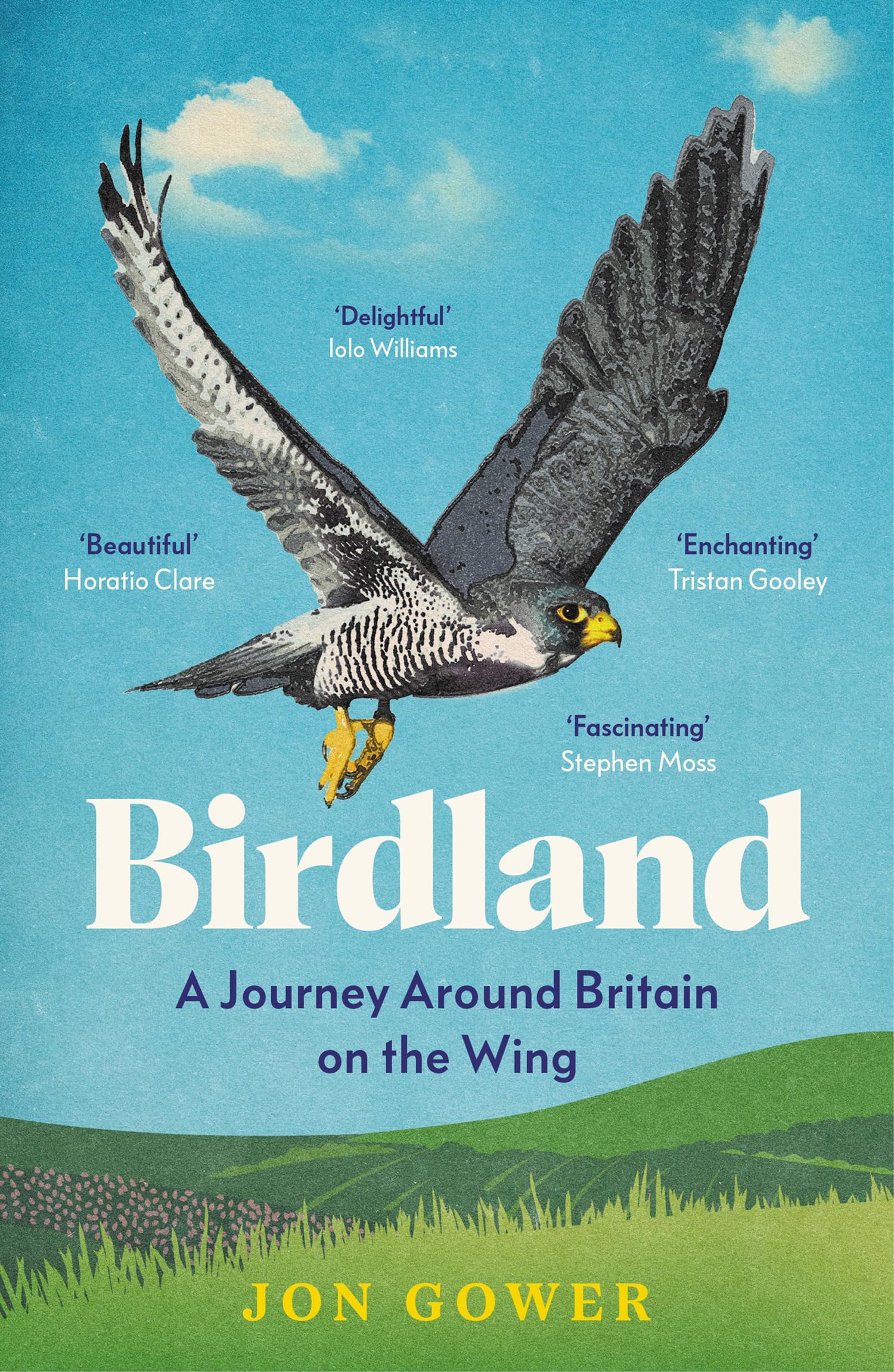 Birdland: A Journey Around Britain on the Wing