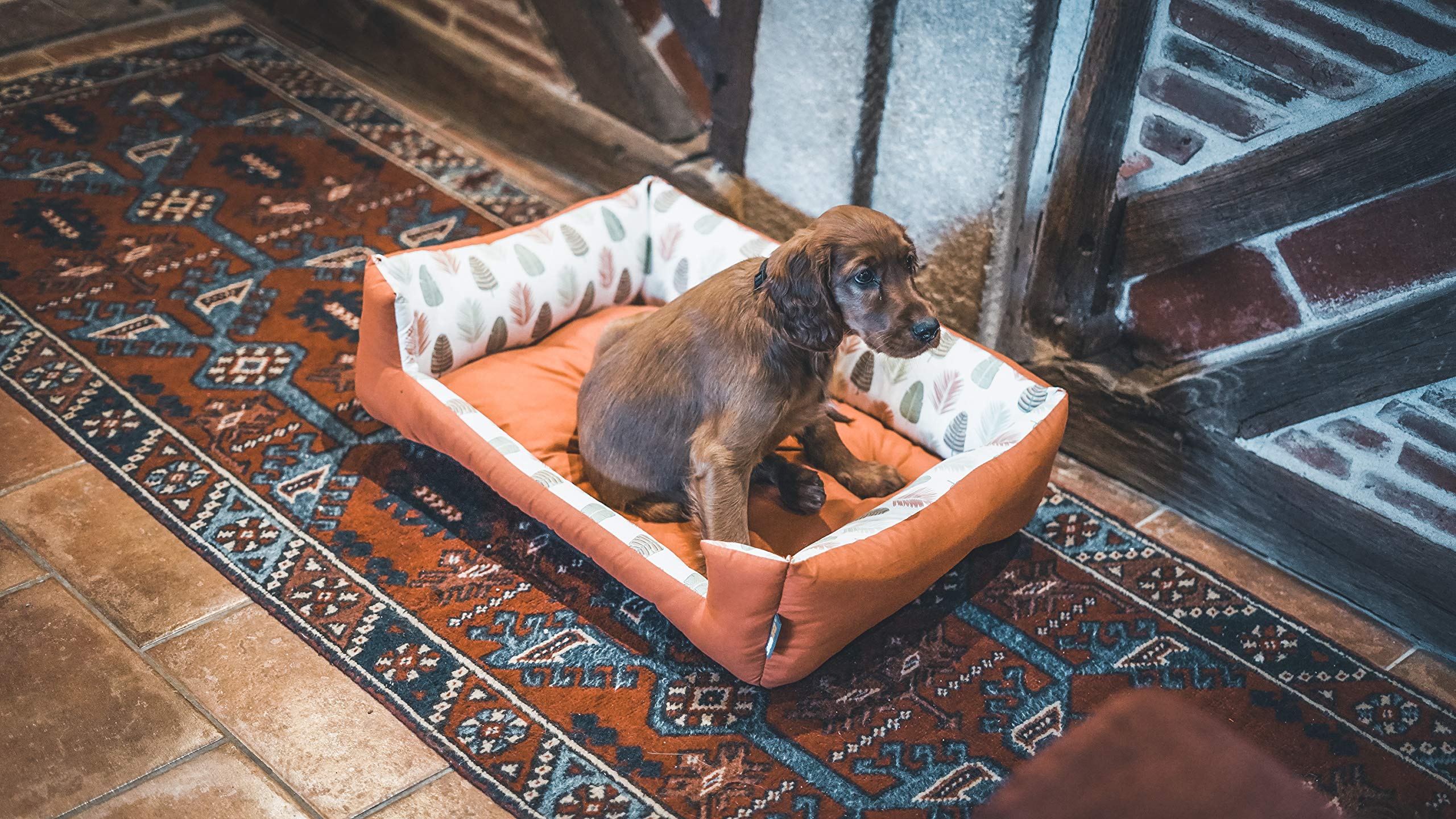Aime - Cesta para Perro, colección Sweet Tropical, Cesta Mediana/Grande, cómoda, diseño étnico, Naturaleza, diámetro 70 cm