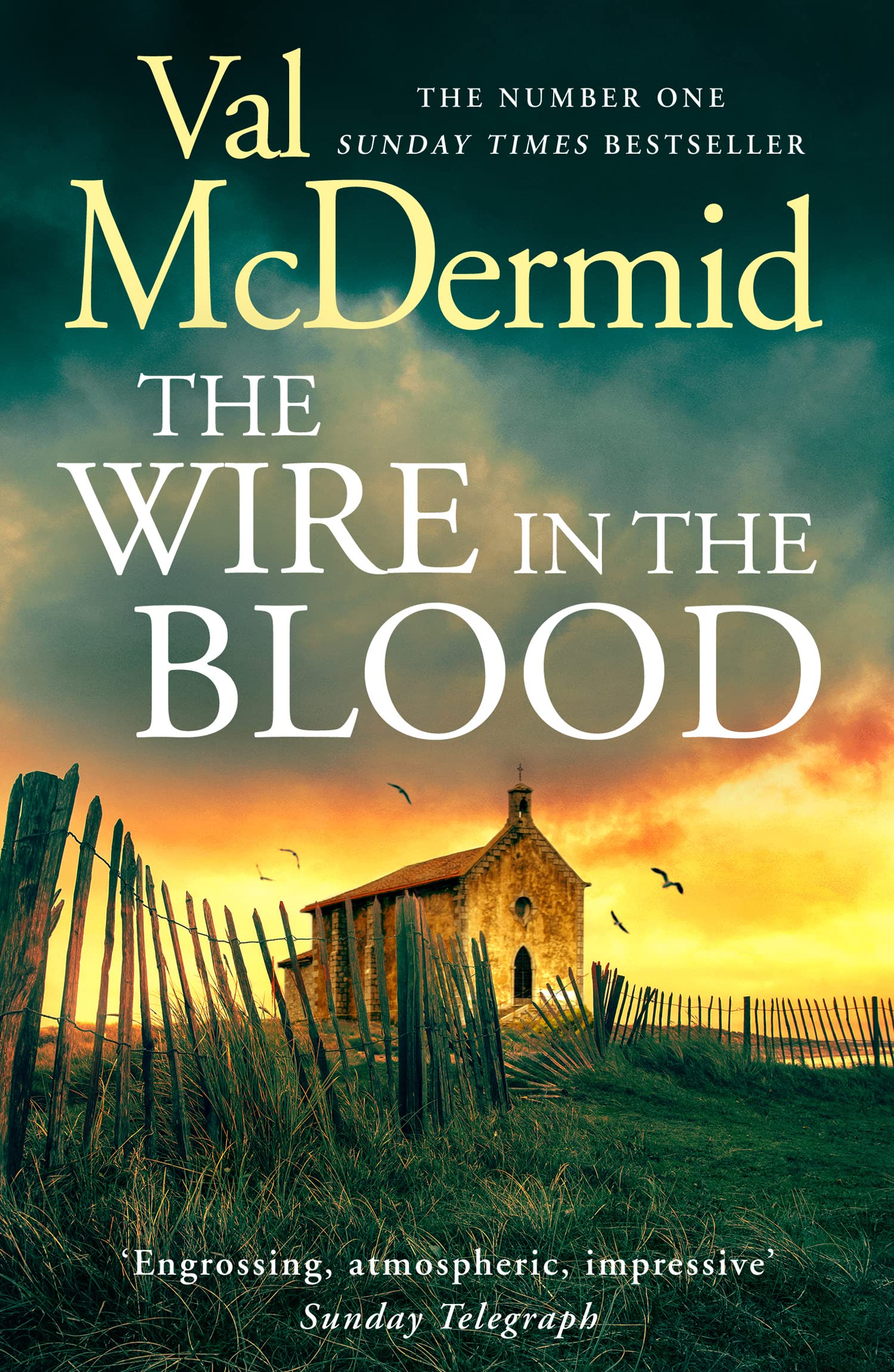 The Wire in the Blood by Val McDermid PAPERBACK 9780008453657