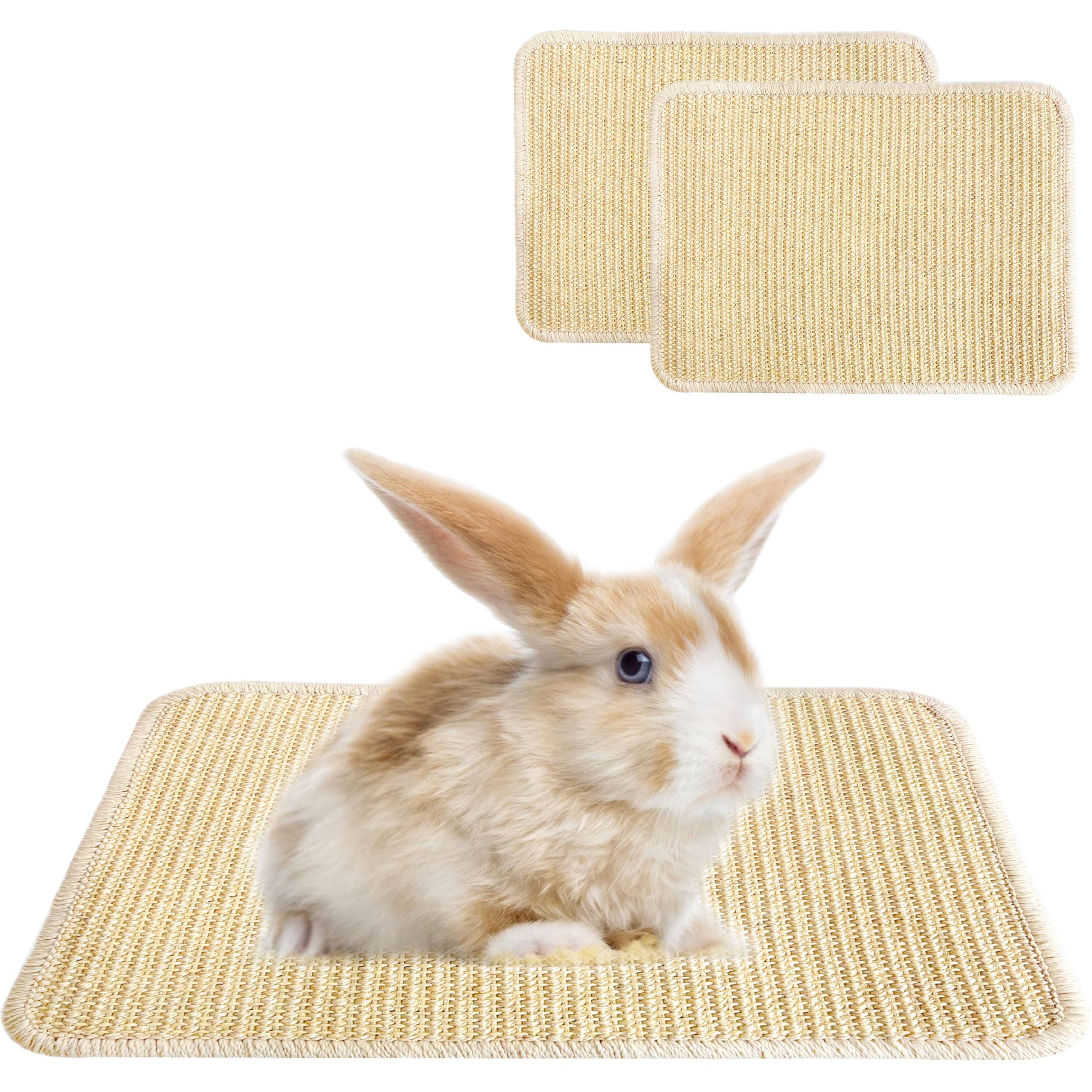Jevnd 2PCS Large Rabbit Scratching Pad Indoor Edible for Claws and Teeth Grinding Chew Toys, Rabbit Mat for Cages Chew Pad, Rabbit Toys Boredom,