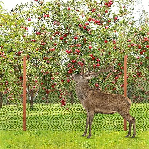 Red para pájaros de 10 x 100 pies, red de valla de ciervos de 34 pulgadas, reutilizable, protección para jardín, vegetales, plantas, árboles