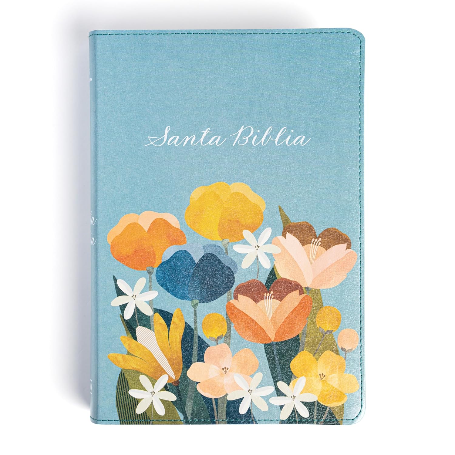 RVR 1960 Biblia letra grande tamaño manual edición especial, aqua, símil piel (RVR 1960 Hand Size Giant Print, Aqua, LeatherTouch, Special Edition) (Spanish Edition)      Imitation Leather – June 1, 2025