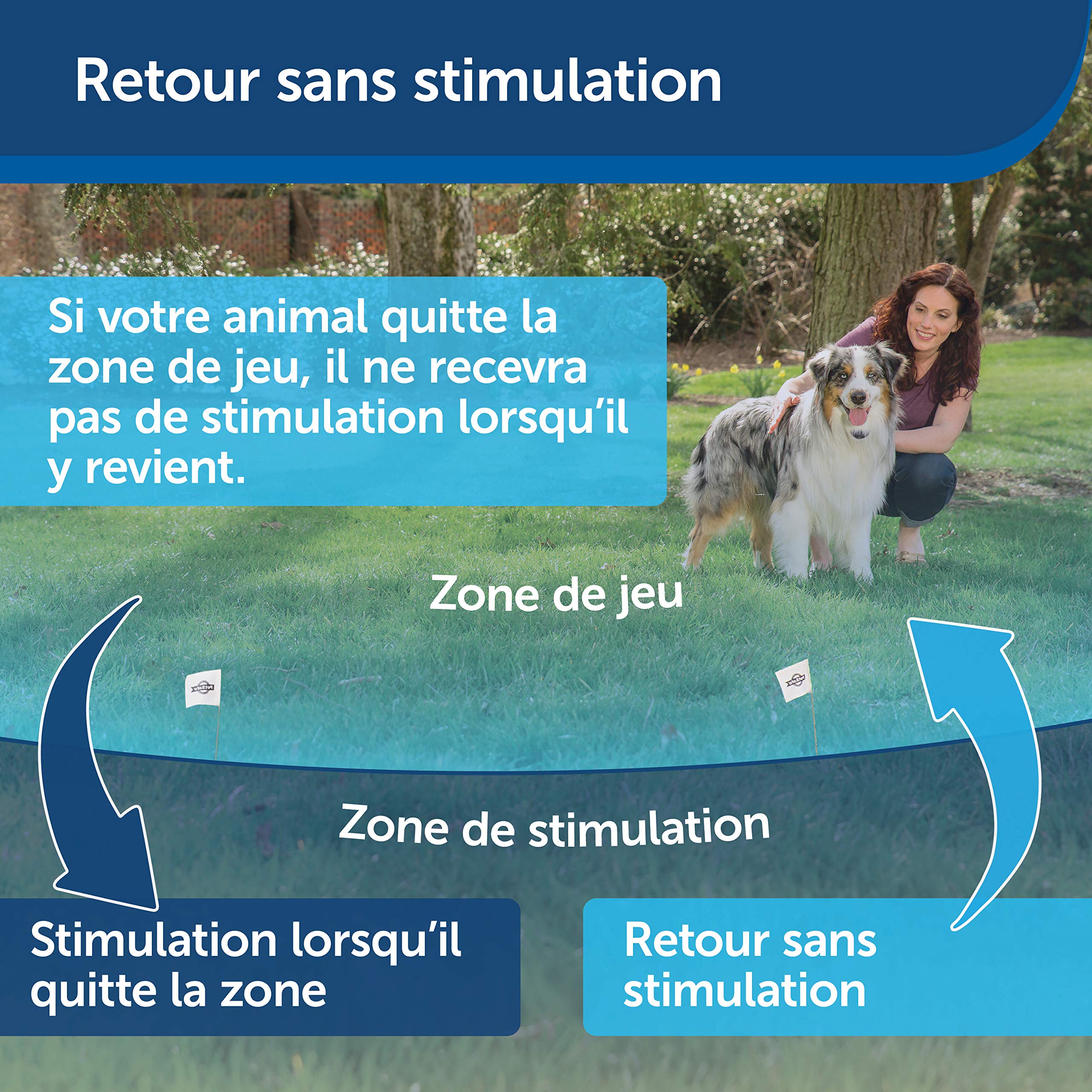 PetSafe, Clôture Anti-Fugue sans Fil Stay & Play de pour Chiens têtus, Collier étanche et Rechargeable, Couverture Circulaire de 3 000 m², 5 Niveaux de Stimulation Ajustable, transmetteur Portable