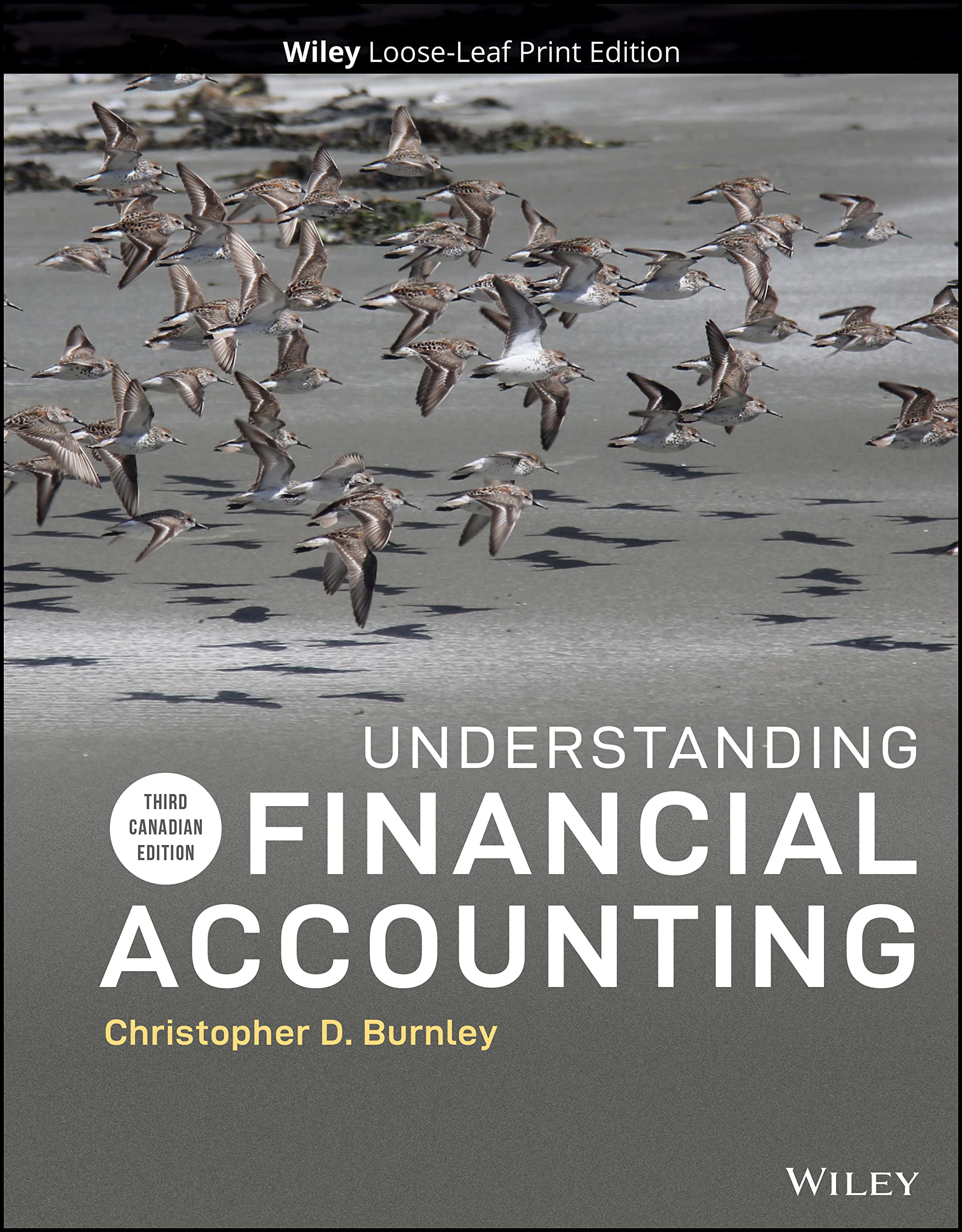 Understanding Financial Accounting: Burnley, Christopher D