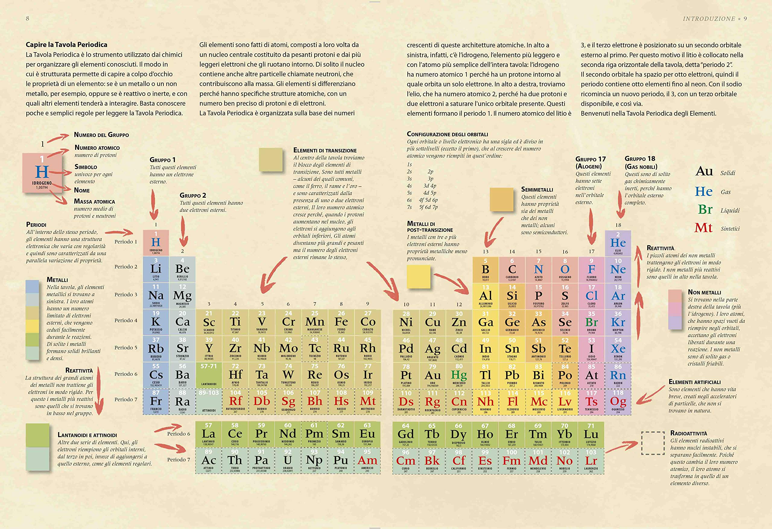 Elements. Storia illustrata della tavola periodica. Ediz. a colori