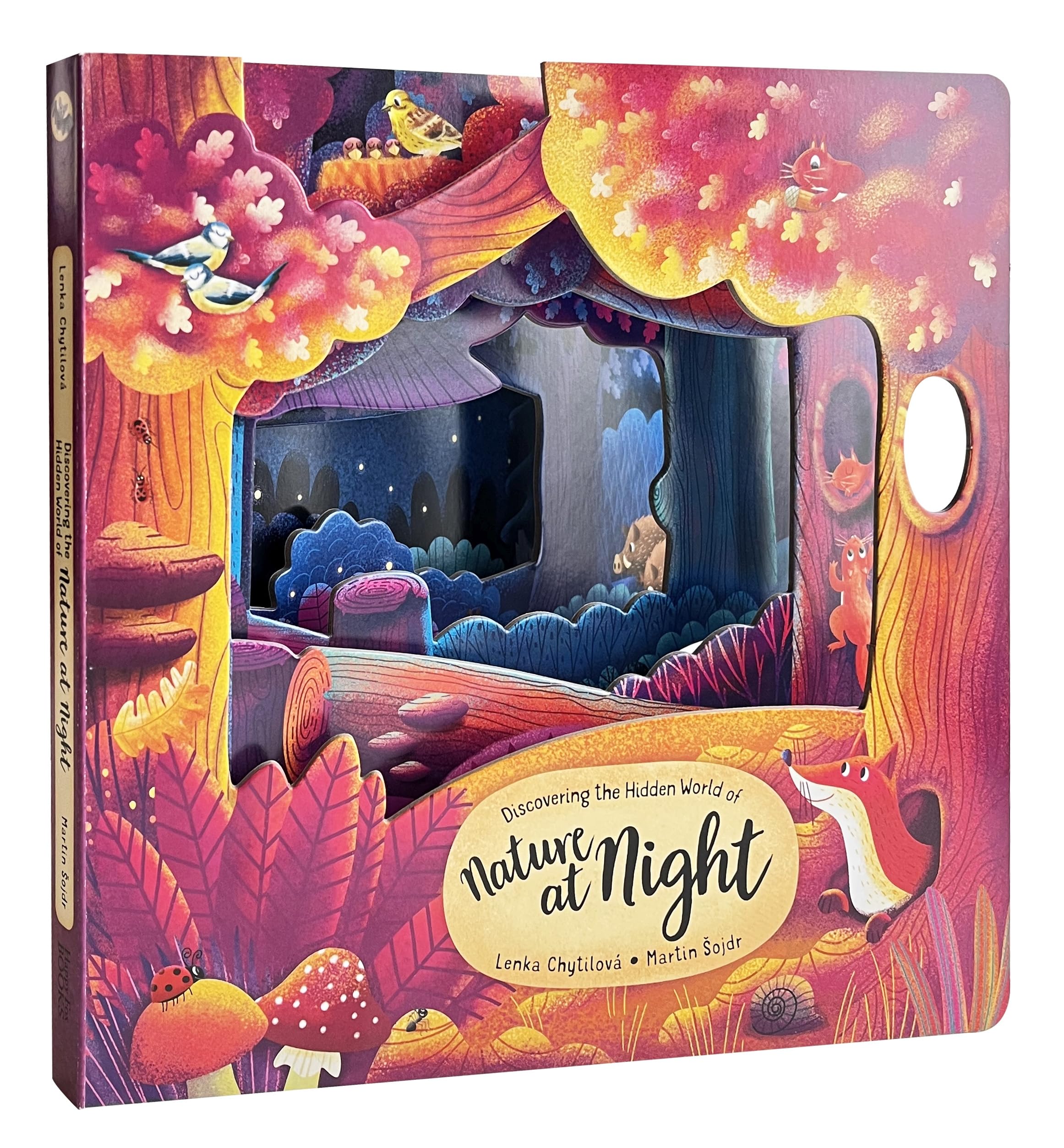 Discovering the Hidden World of Nature at Night (Peek Inside)