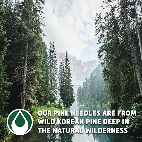 Miniatura 4 de Sou Zen Pine Needle Tea Hoja suelta 4 onzas (3.99 oz)  Calidad premium salvaje de hojas de té de pino coreano  Crudo, sin OMG y sin cafeína, té de