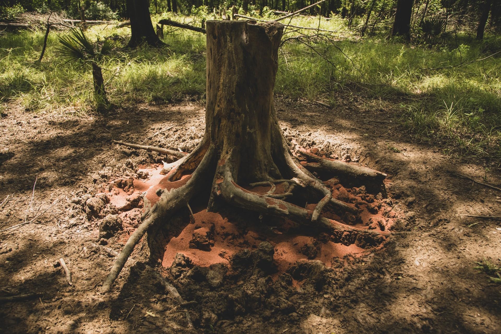 Primos Hunting Swamp Donkey Red Zone Mineral and Supplement for Deer - Salt Lick and Attractant for Deer Food Plots, 4.5 Pound Bag