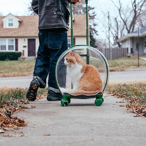Miniatura 4 de MiMu Transportador transparente de burbujas para mascotas con ruedas, carrito pequeño para perros o gatos para viajes de mascotas, alternativa a la