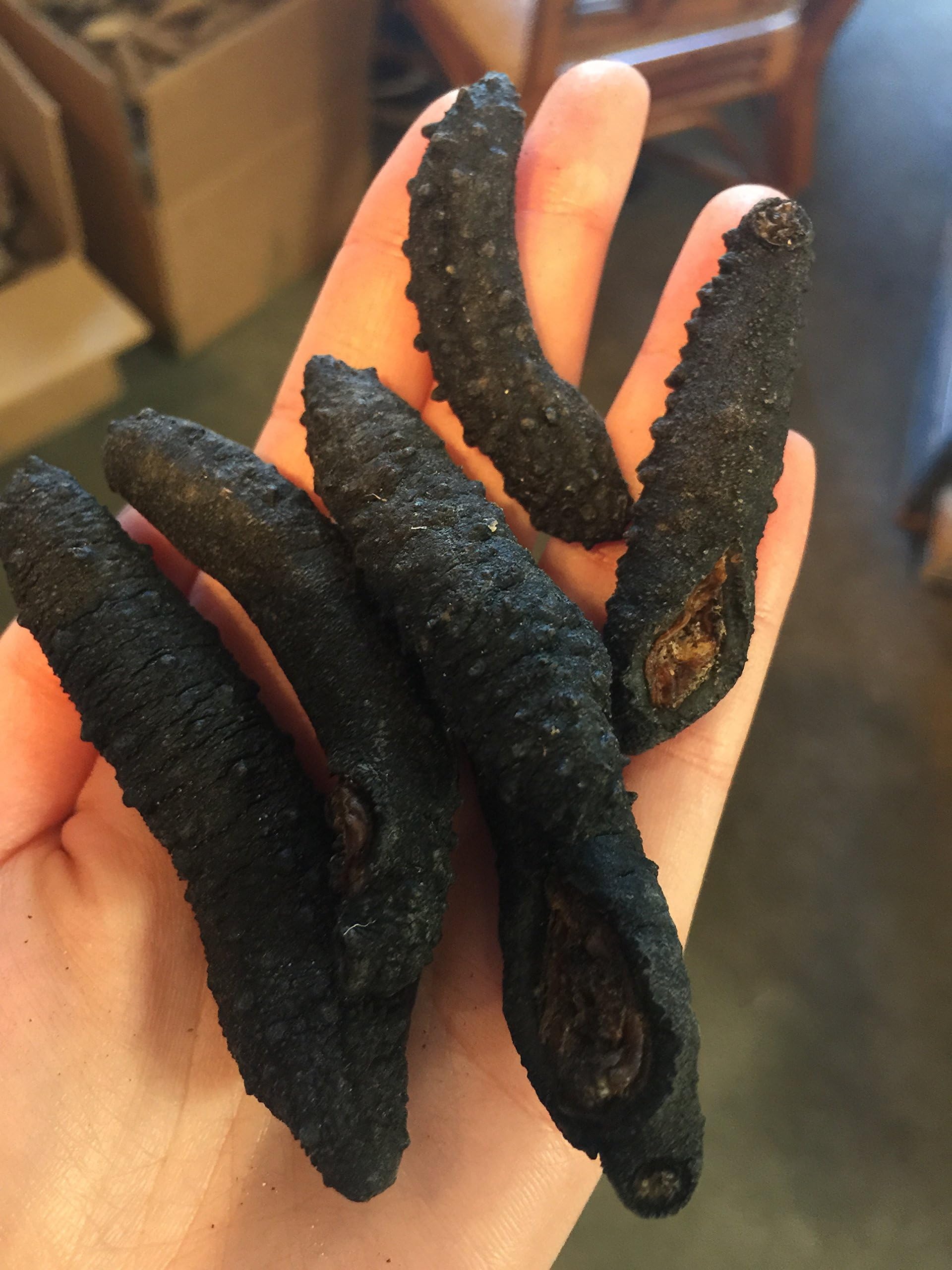 Erlin 1lb Sun Dried Black Spiky Sea Cucumber From North America Medium Size
