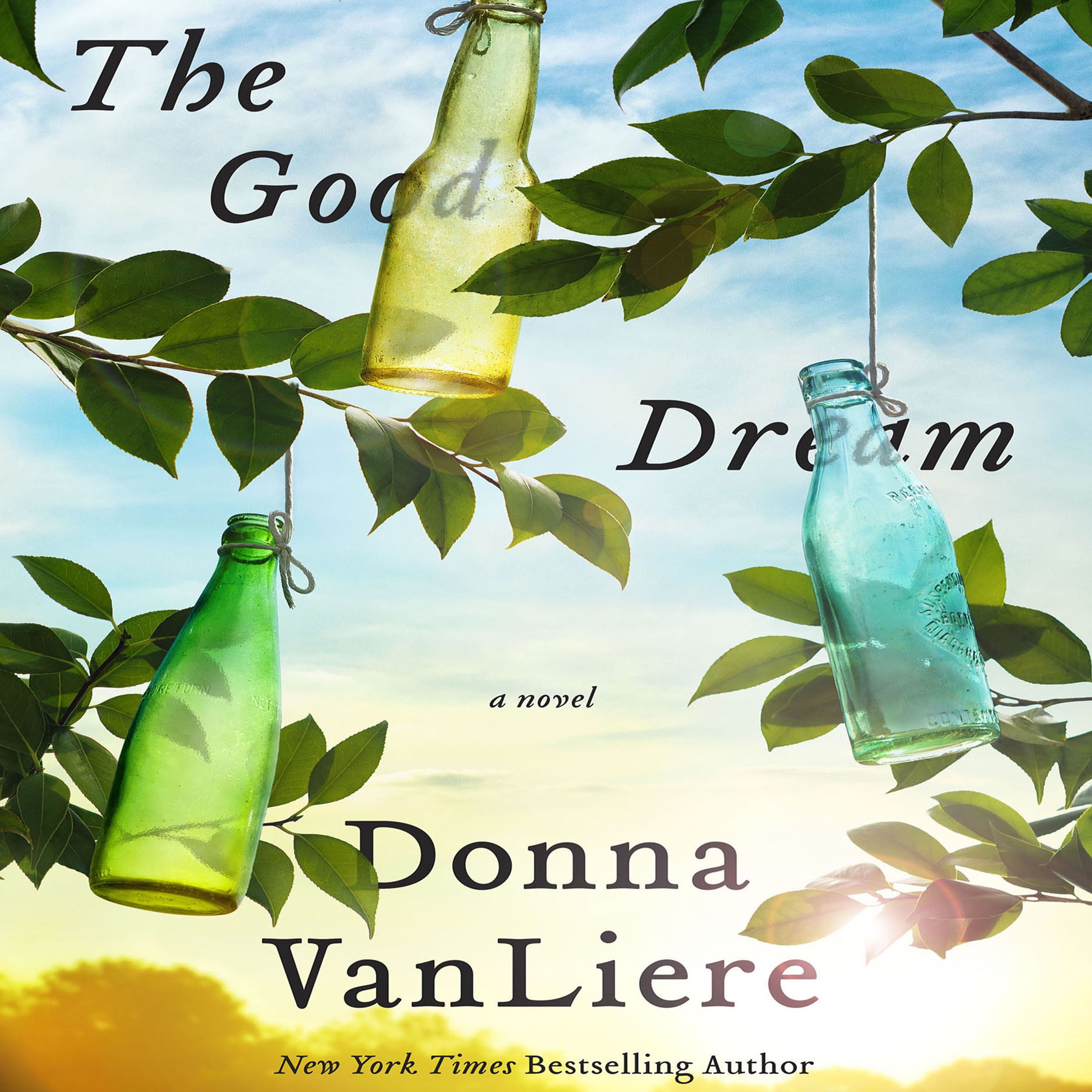Cover art for The Good Dream