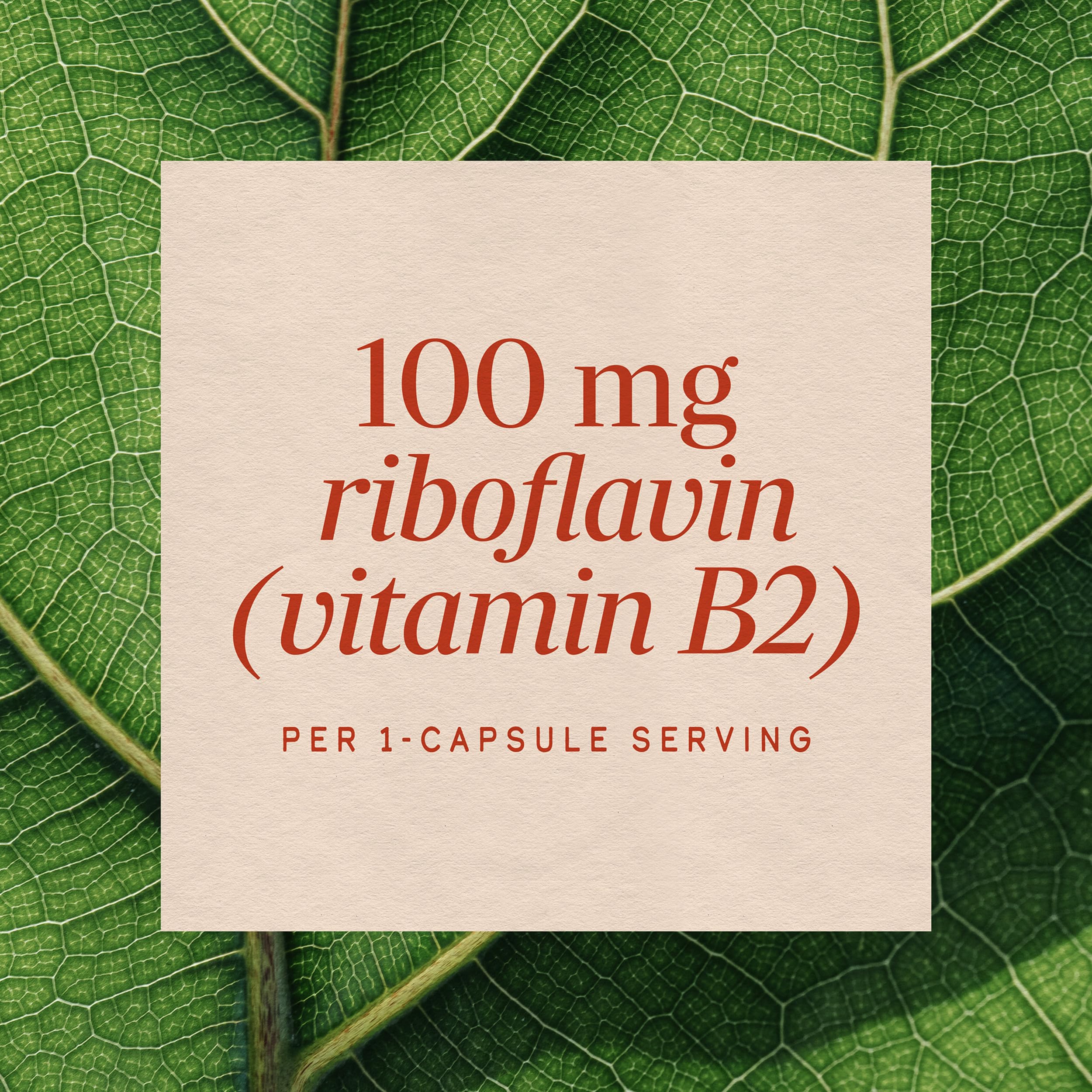 Nature's Way Riboflavin Vitamin B2, Cellular Energy Support*, 100 ct — Amazon image 4