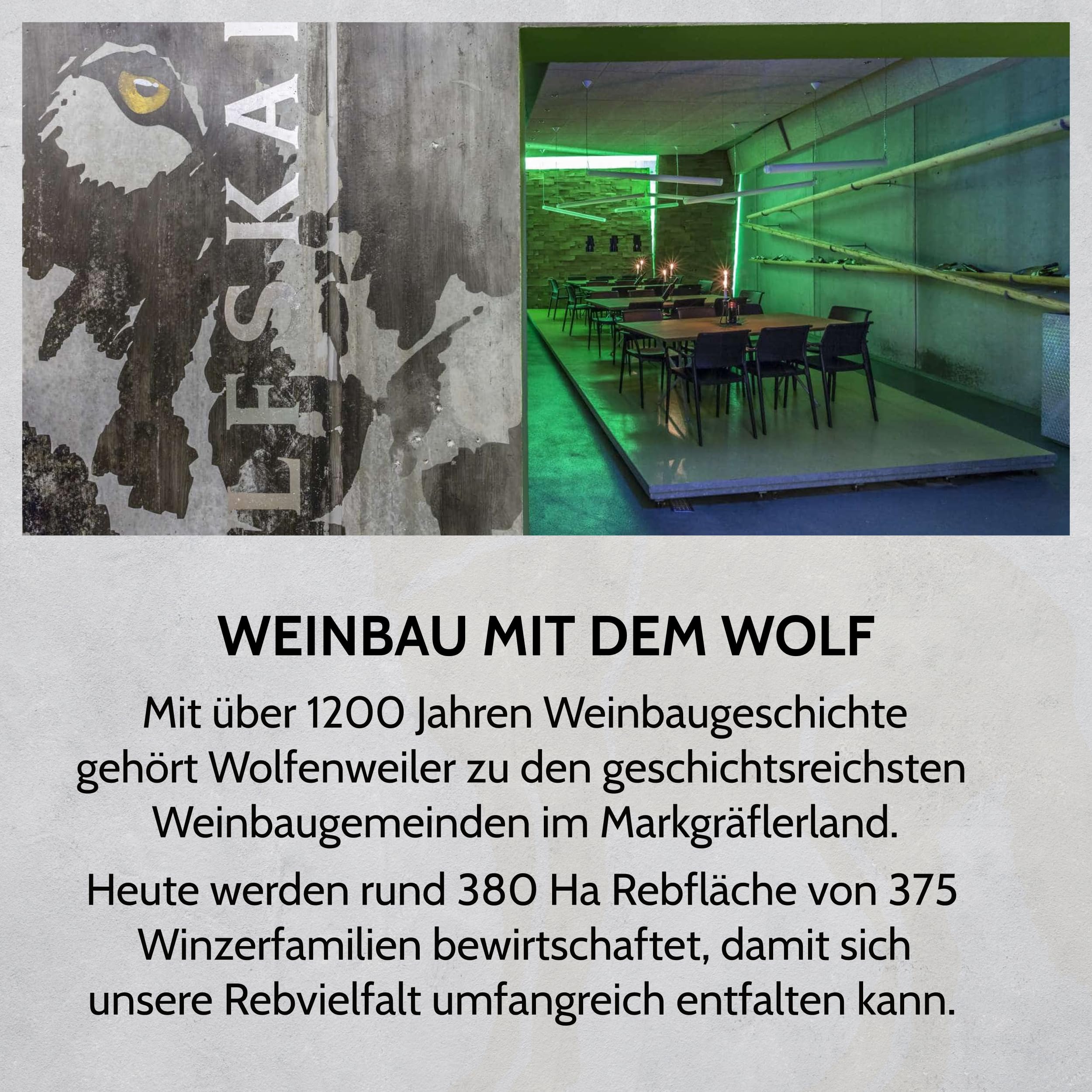 Wolfenweiler Spätburgunder trocken - Schwarzer Wolf rubinroter Rotwein trocken mit Holz- und Vanillearomen - Wein aus dem Markgräflerland Baden (6 x 0,75l)