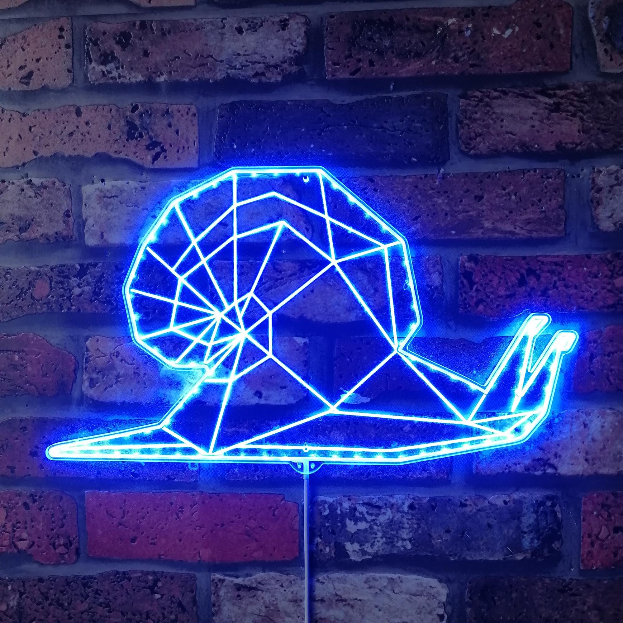 ADVPRO Snail Geometric RGB Dynamic Glam LED Sign - Cut-to-Edge Shape - Smart 3D Wall Decoration - Multicolor Dynamic Signage st06s66-fnd-i0282-c
